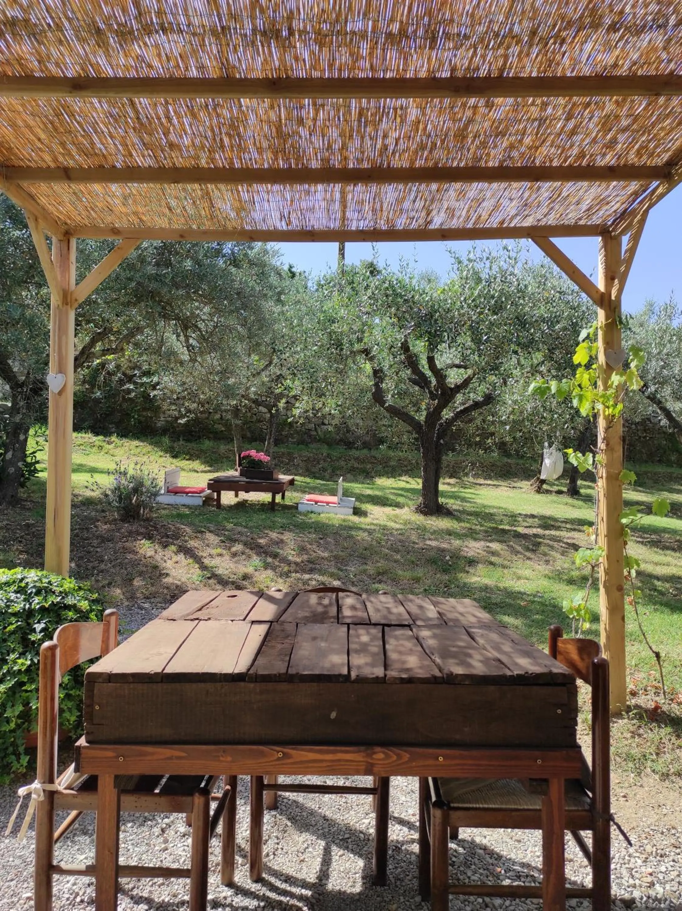 Garden view in La Casa Tra Gli Ulivi