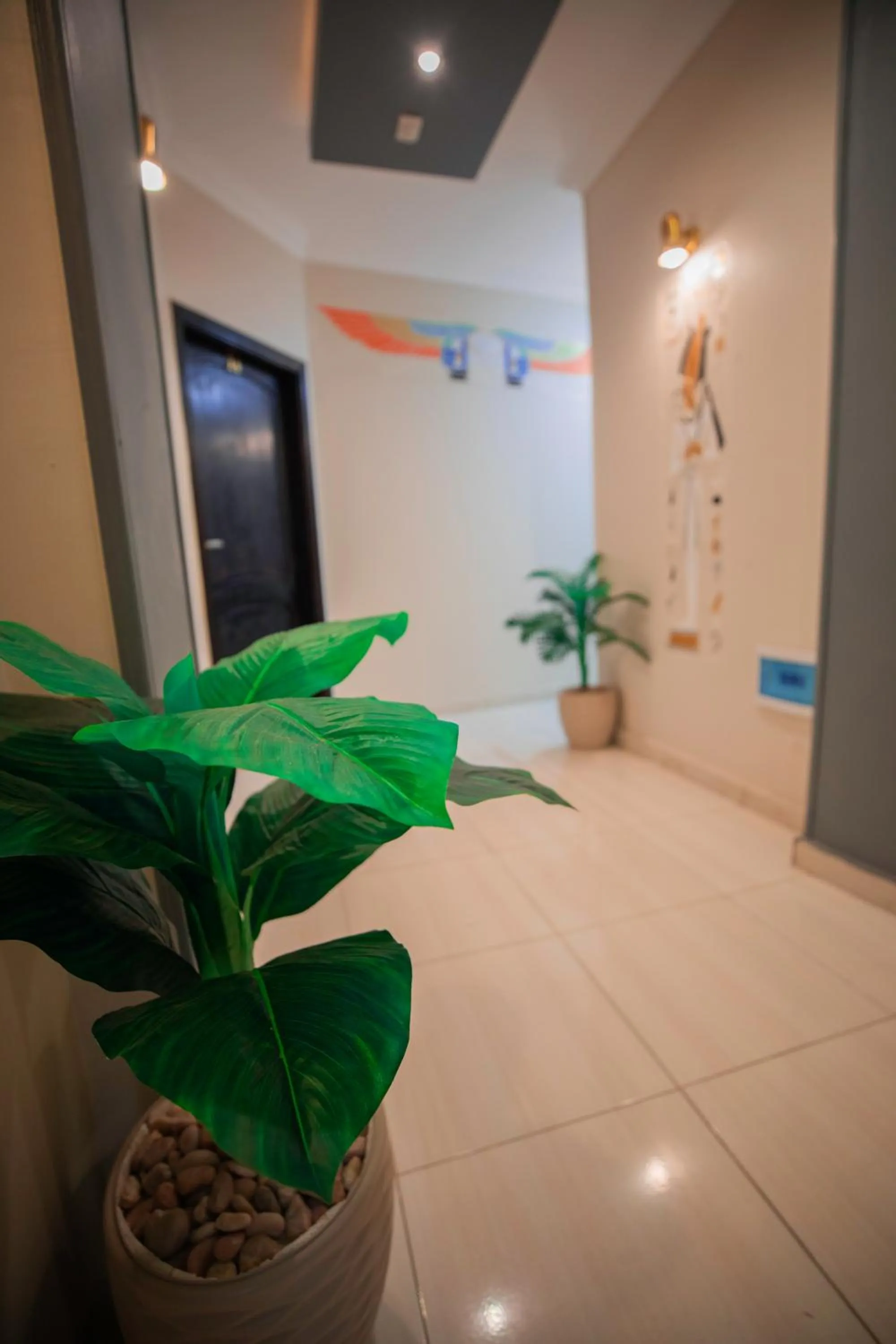 Patio in Horus Guest House Pyramids View