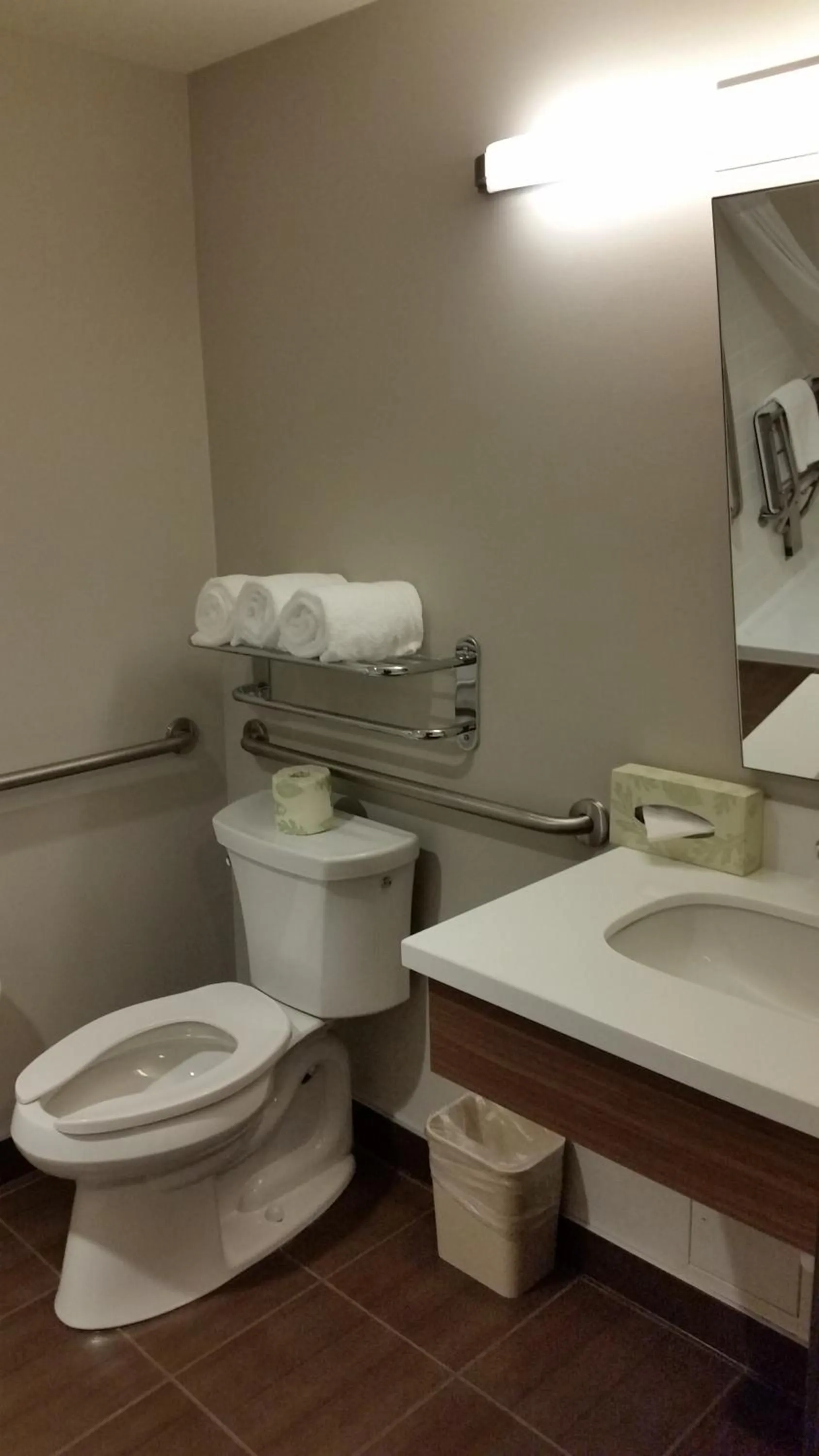 Toilet in Microtel Inn & Suites by Wyndham Bonnyville