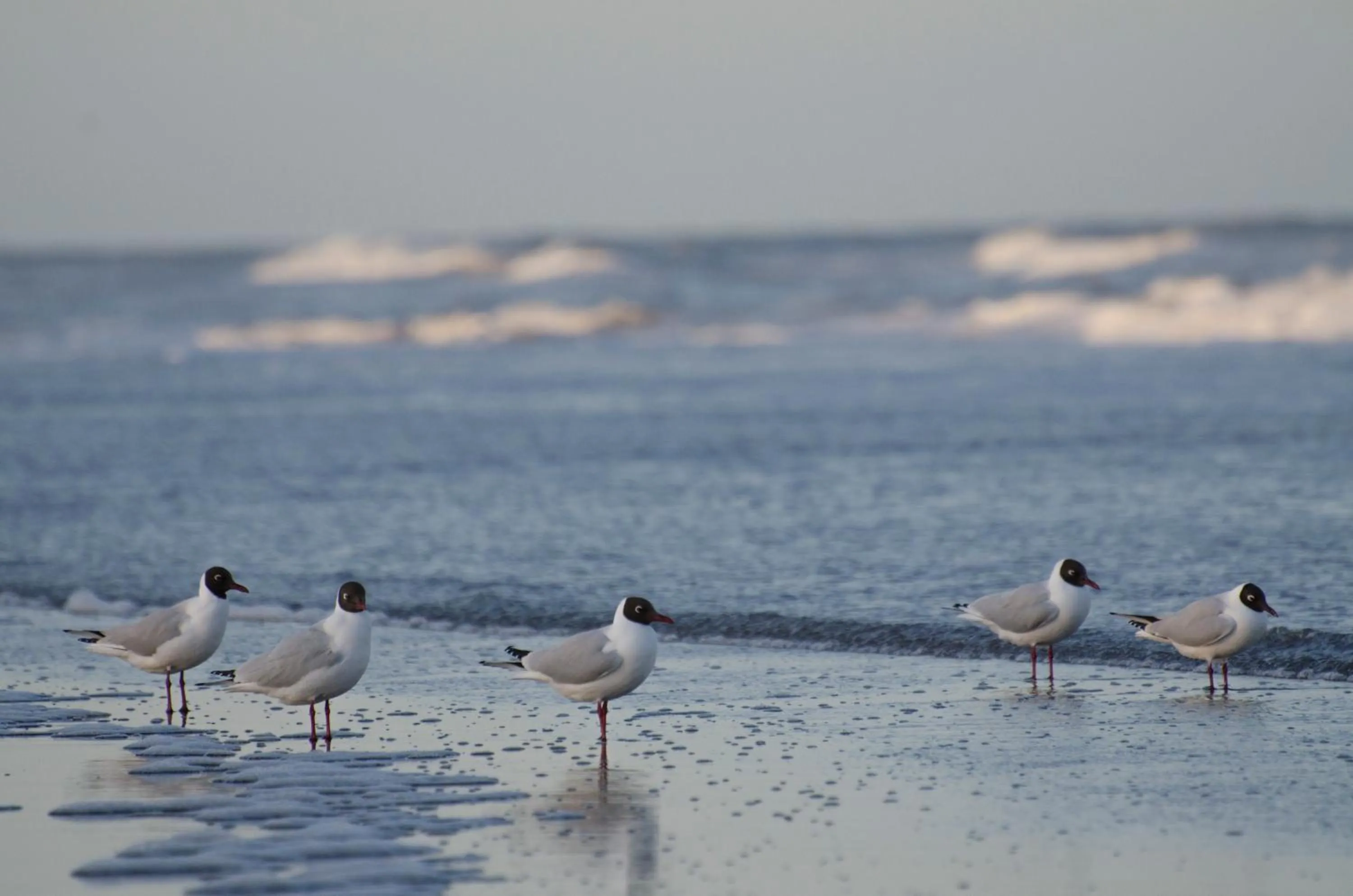 Nearby landmark in Almarena Apart & Hotel Boutique