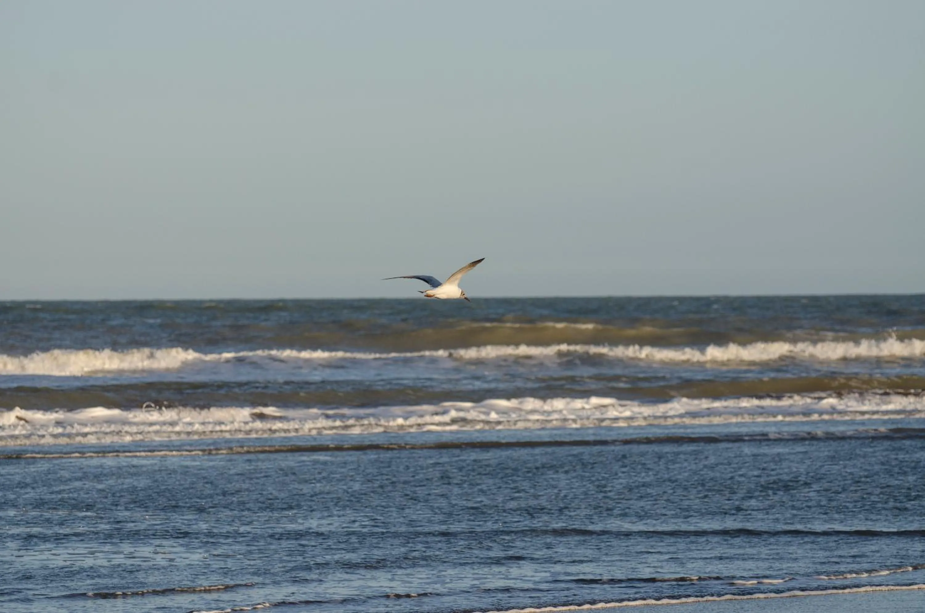 Nearby landmark in Almarena Apart & Hotel Boutique