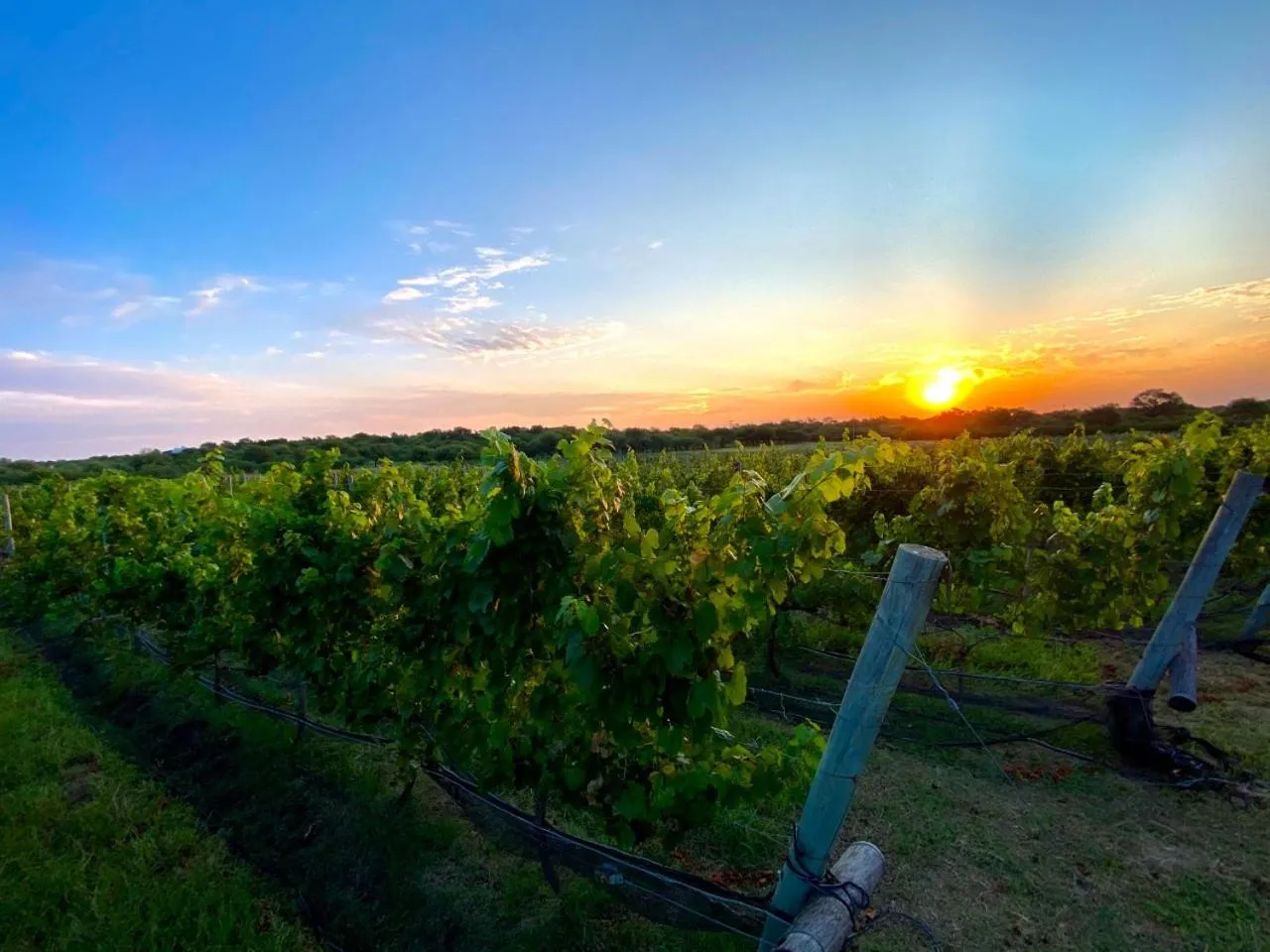 Natural landscape in Posada Rural La Matilde