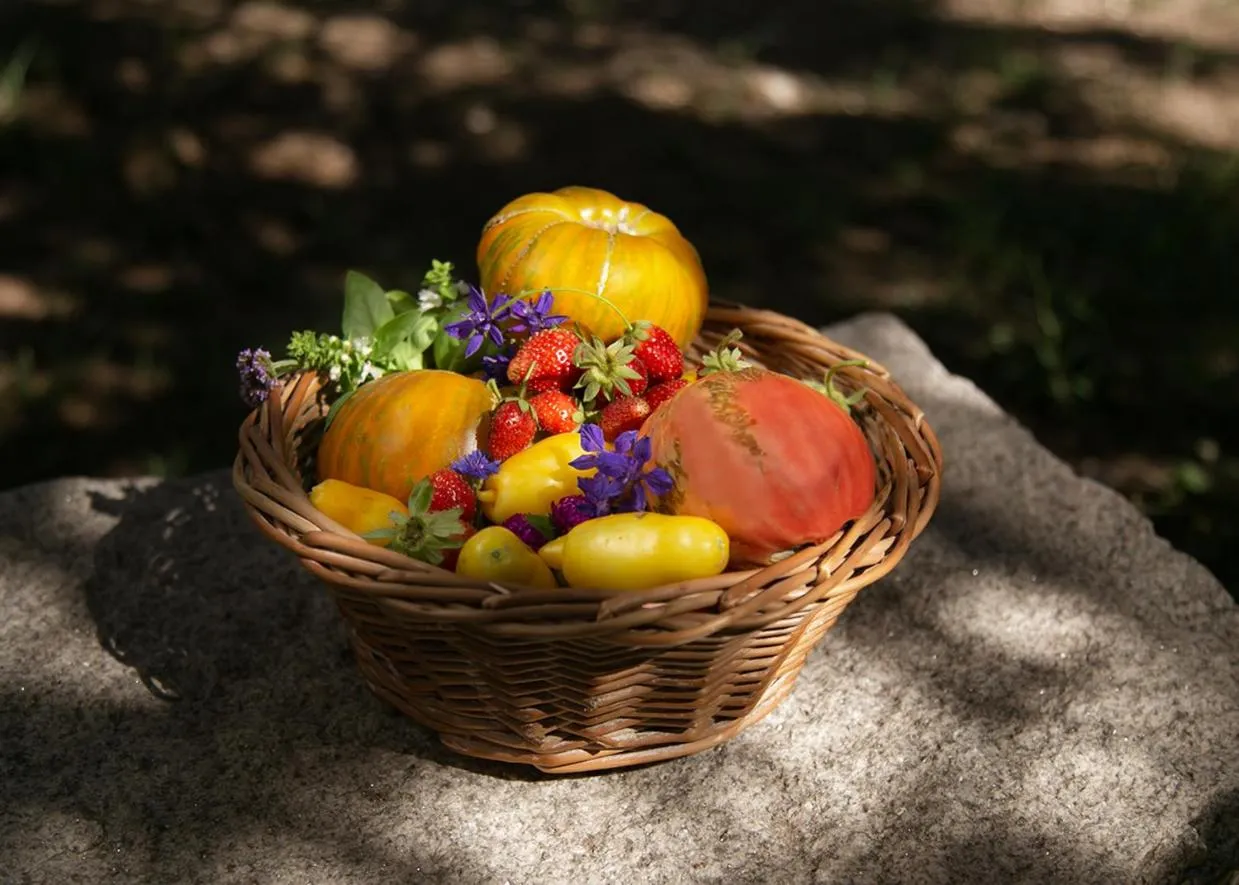 Garden in Posada Rural La Matilde