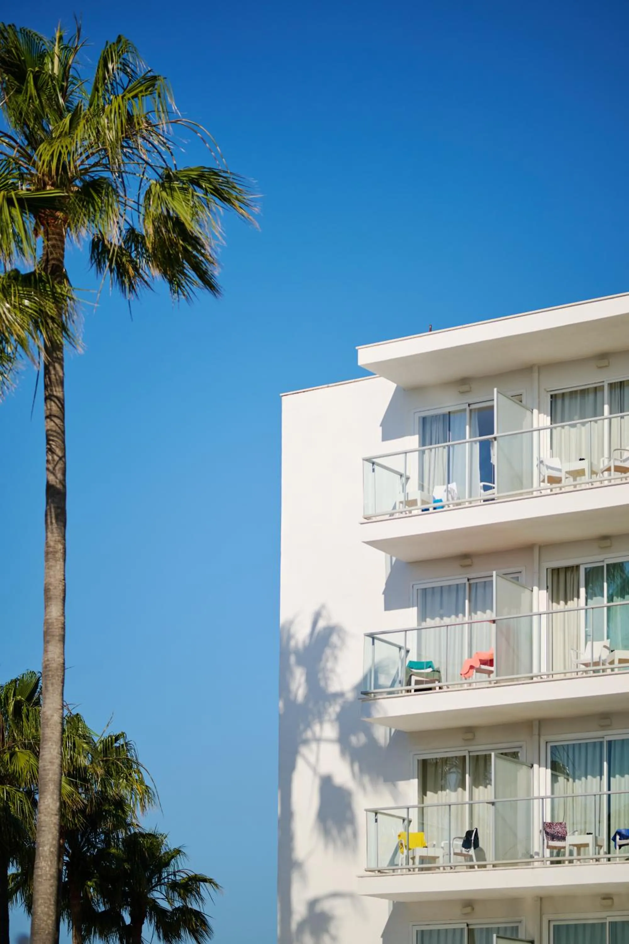 Property building in Alua Boccaccio