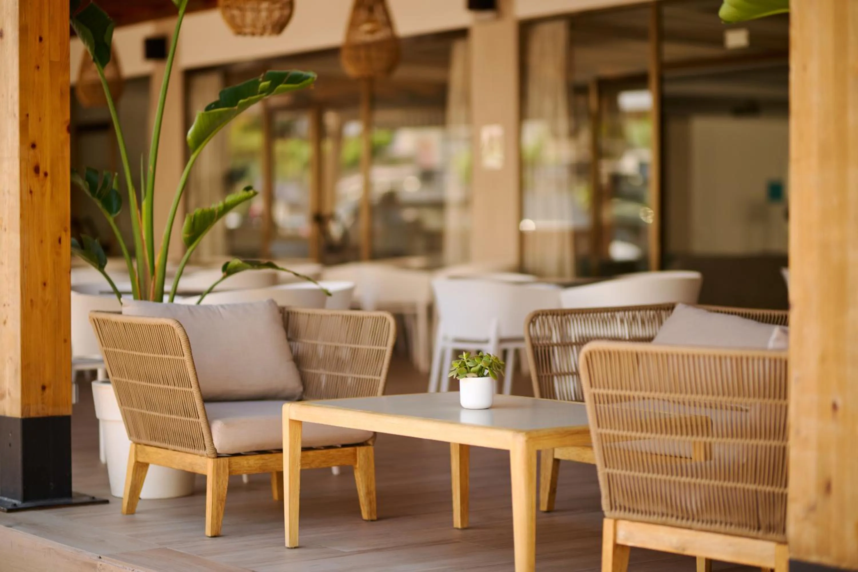 Restaurant/places to eat in Alua Boccaccio