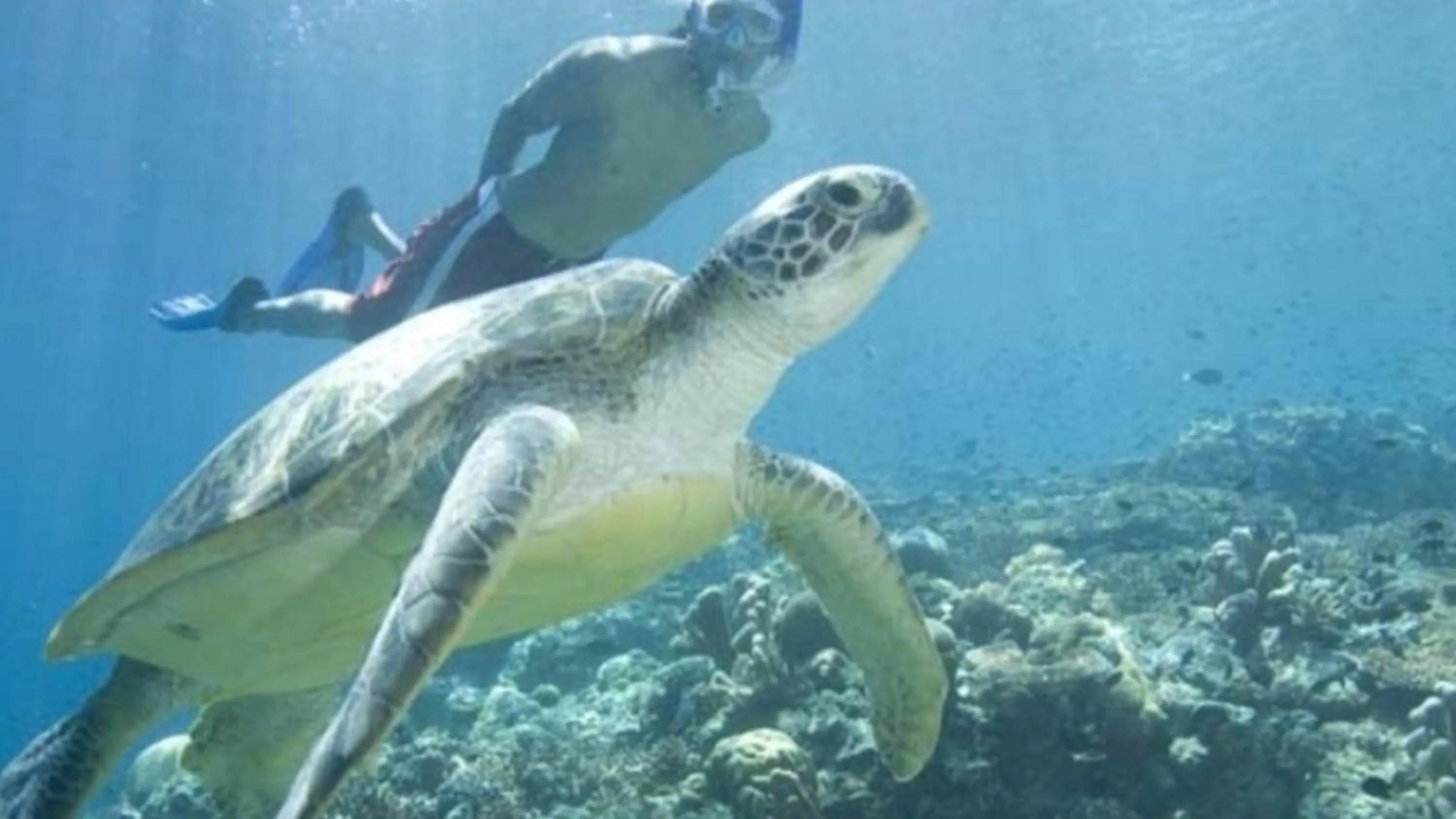 Diving in Funky Place