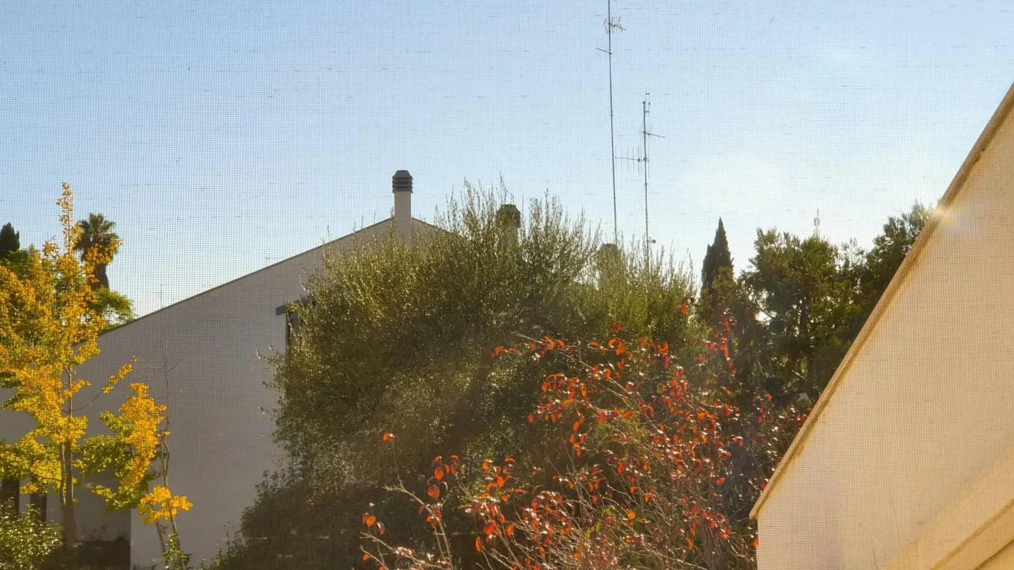 Property building in Apulia Time