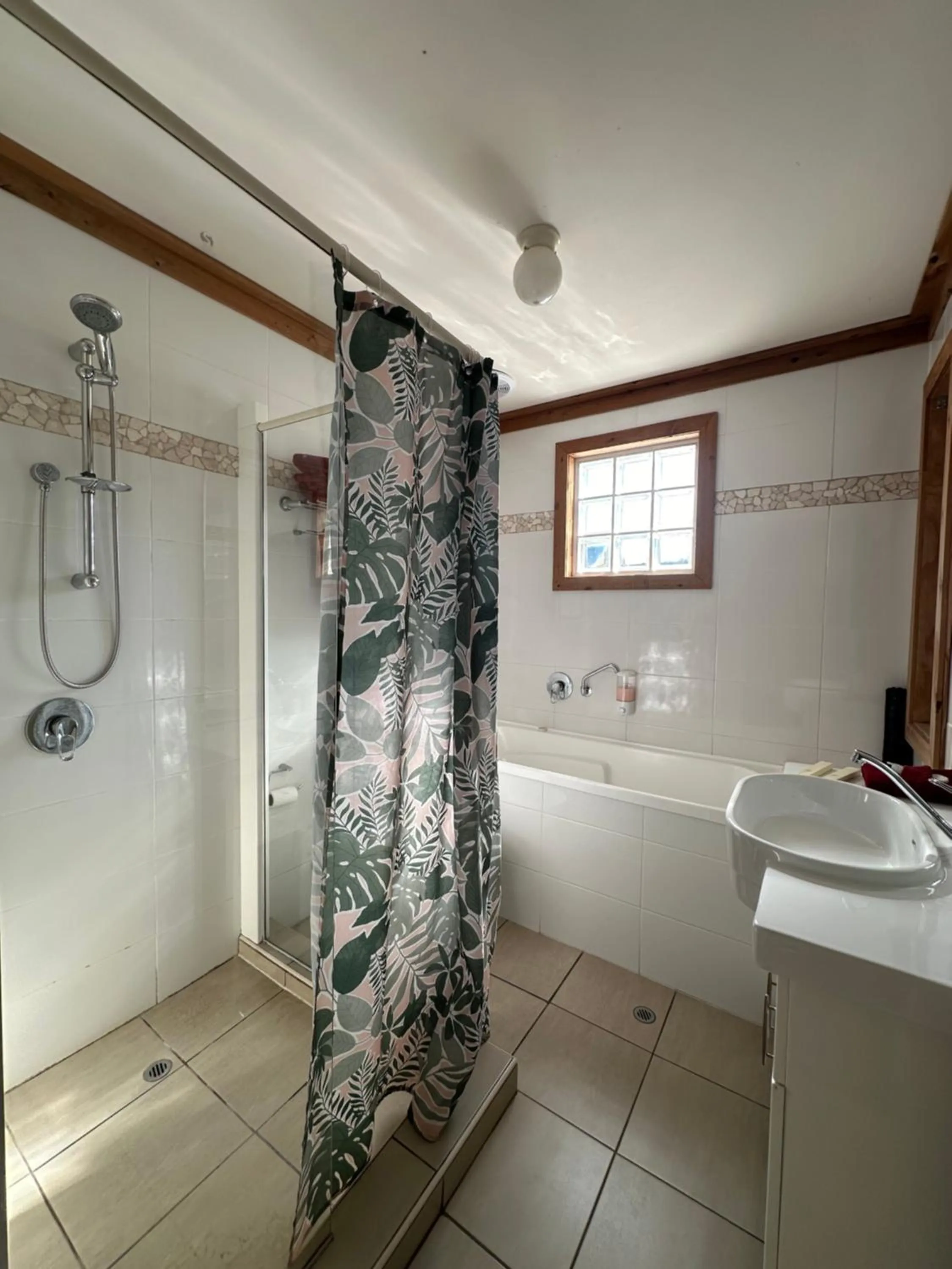 Shower in Brooklyn Motel