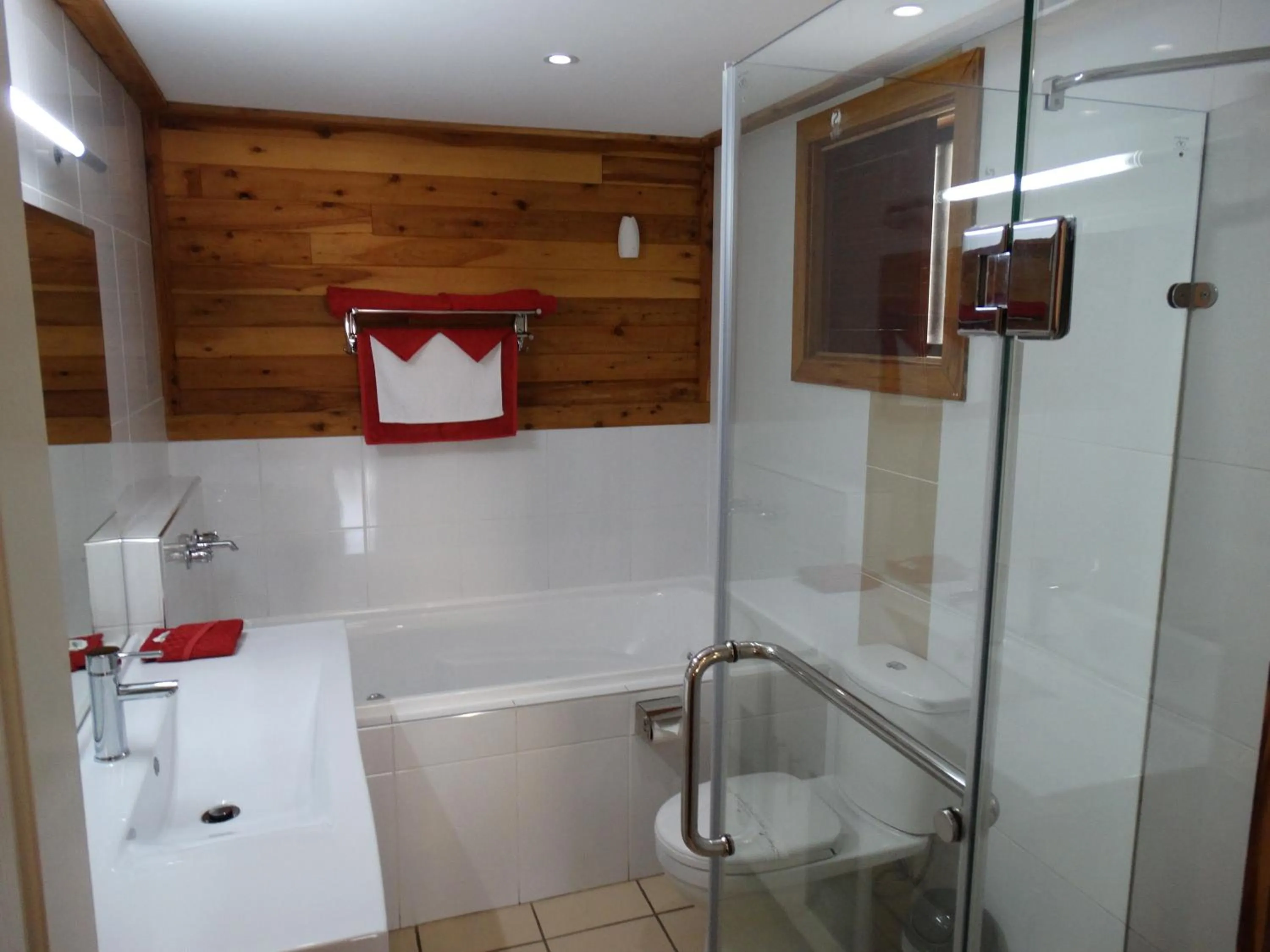 Shower in Brooklyn Motel