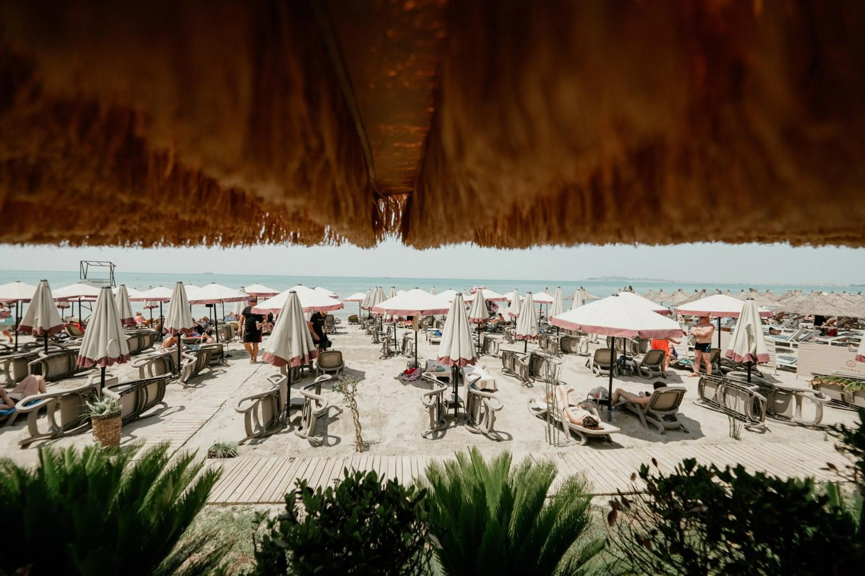 Beach in Flower Hotels & Resorts