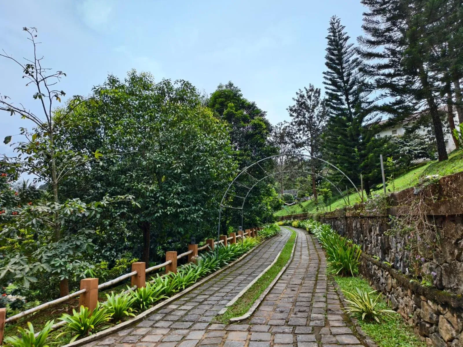 Broad Bean Resort & Spa