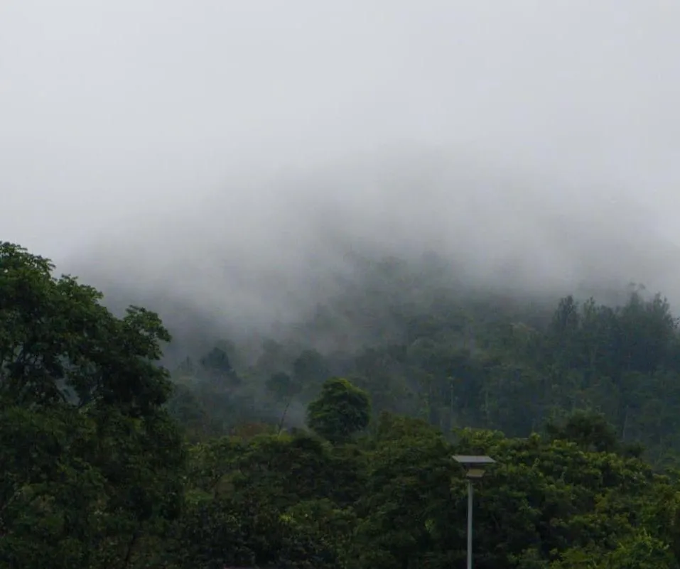 Broad Bean Resort & Spa