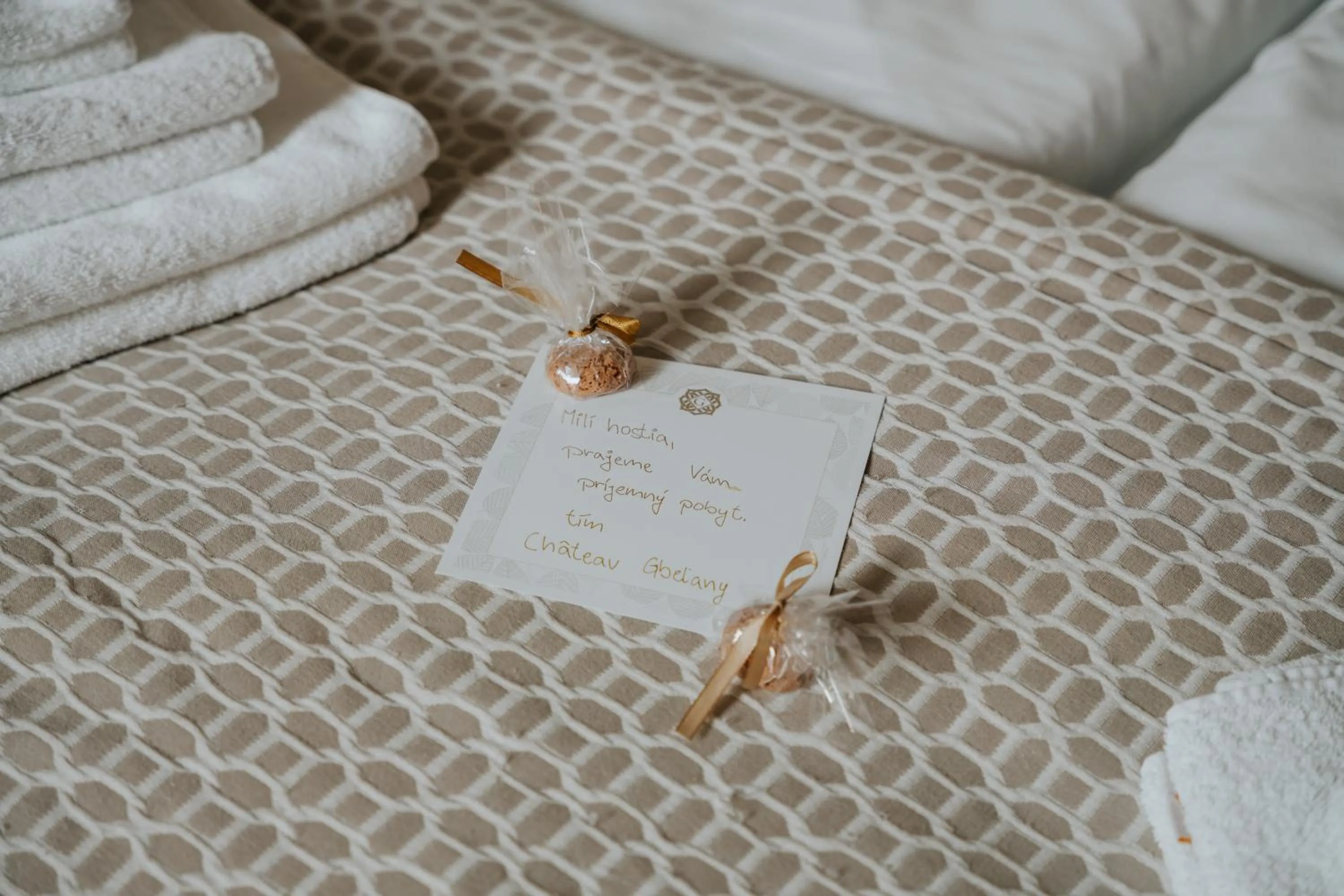 Other, Bed in Hotel Château Gbeľany