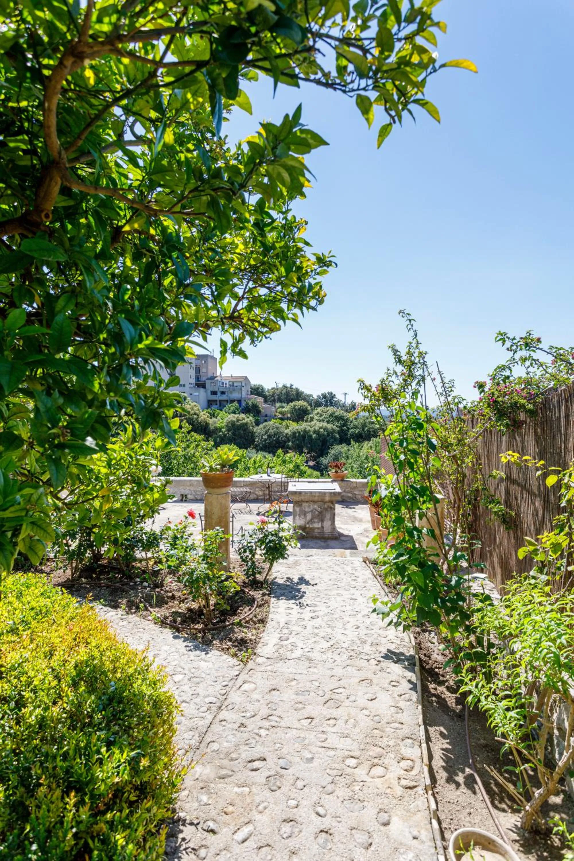 Garden view in Son Colom -Turismo de interior