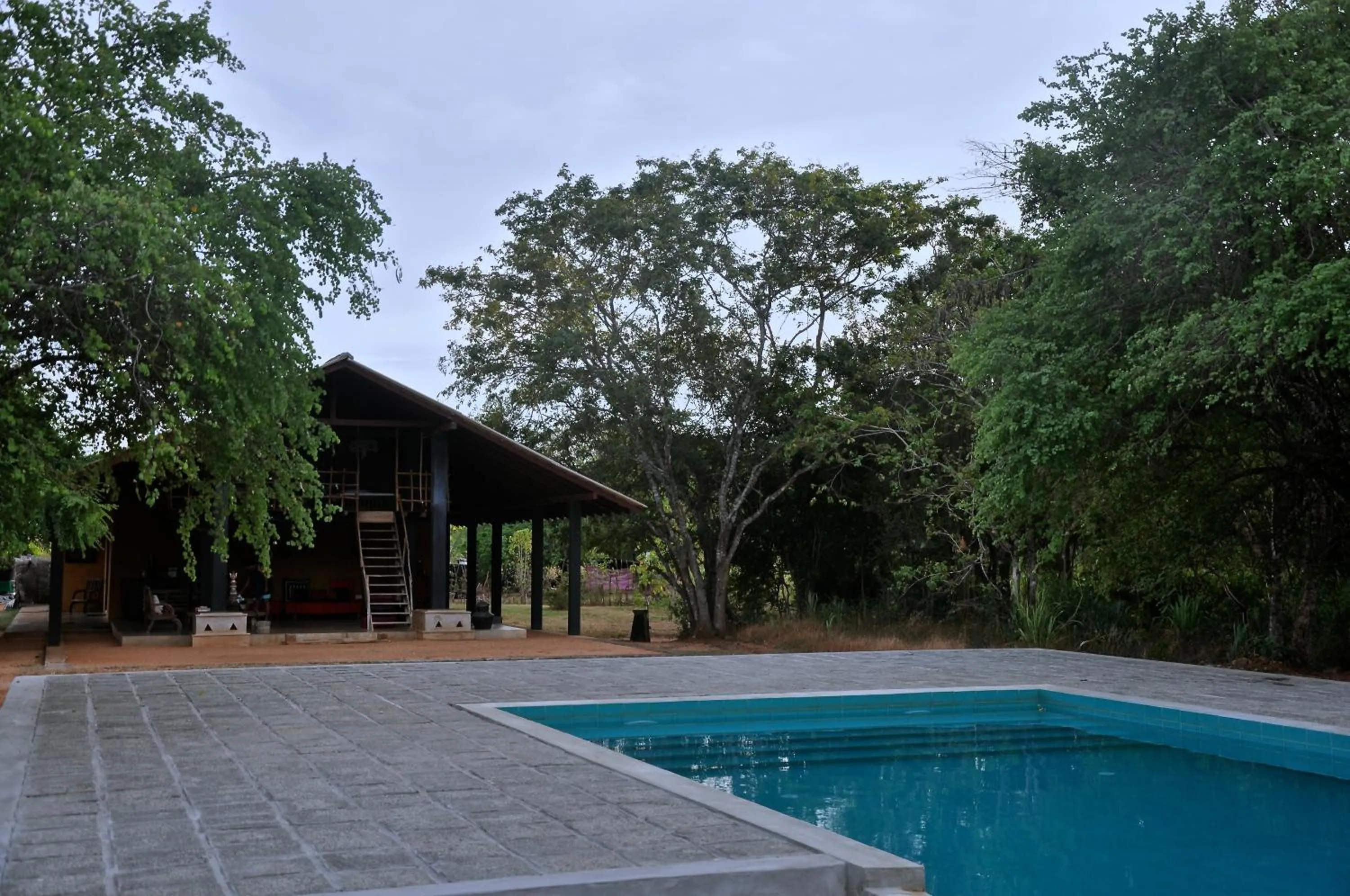 Swimming pool in Kumbukgaha Villa