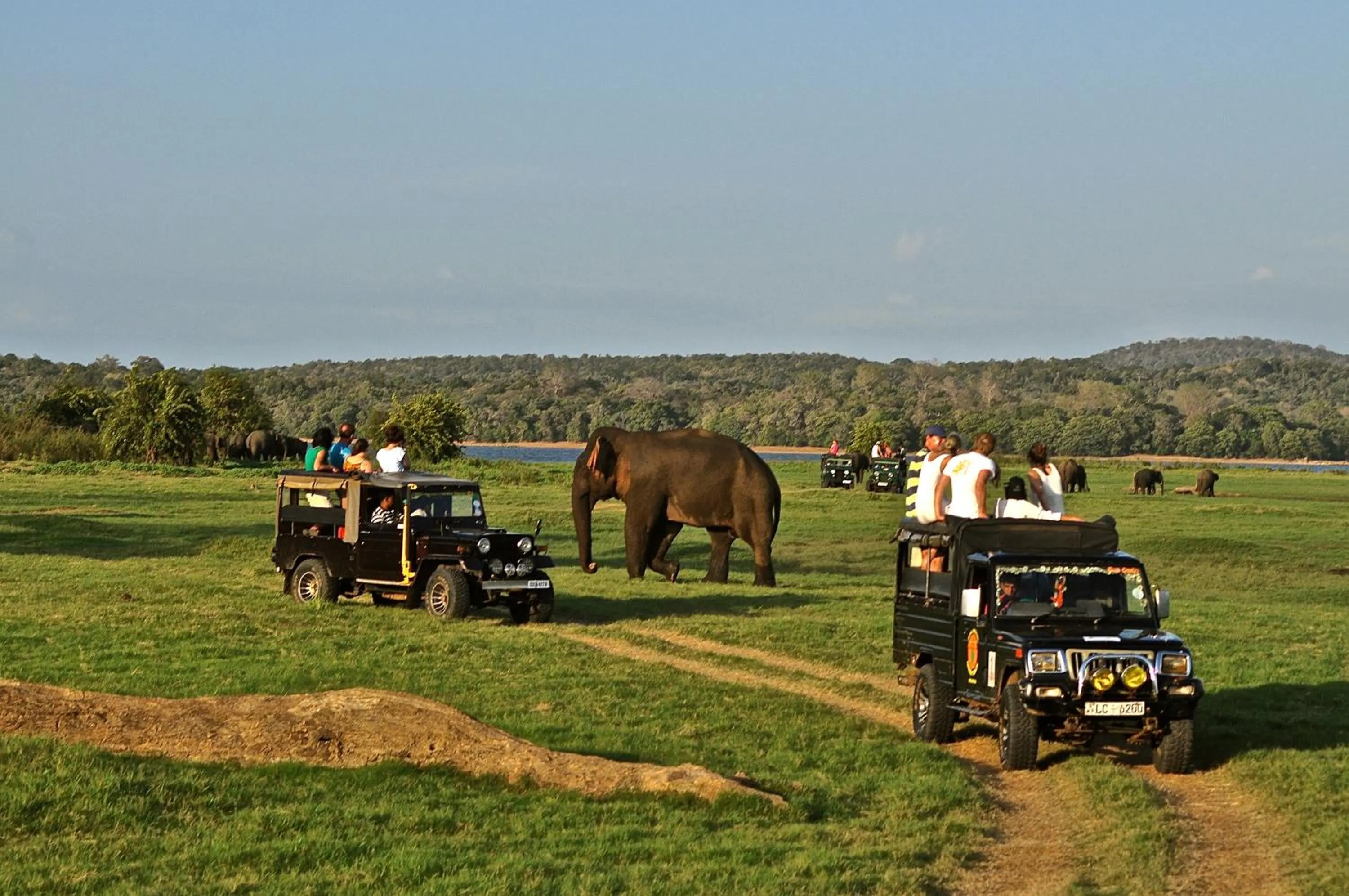 Day in Kumbukgaha Villa