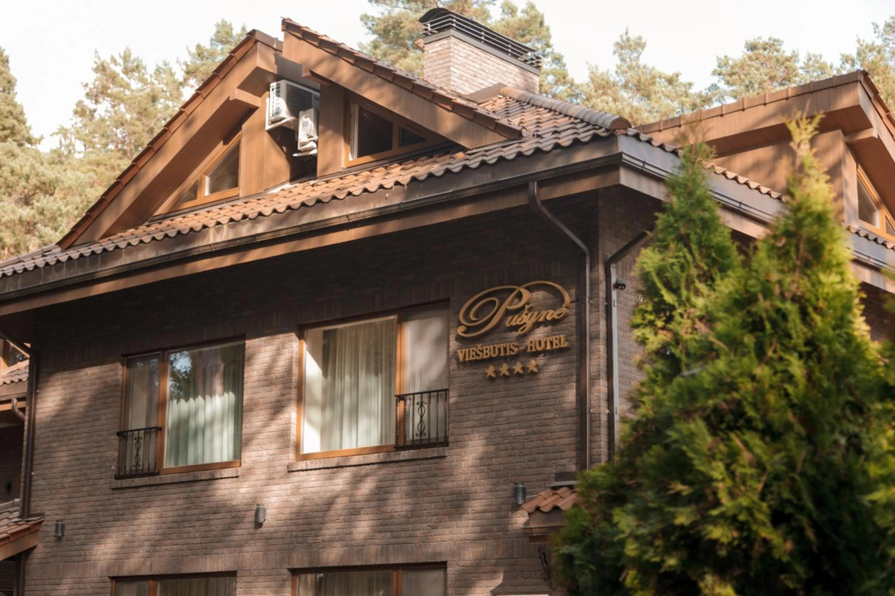 Property building in Pušynė