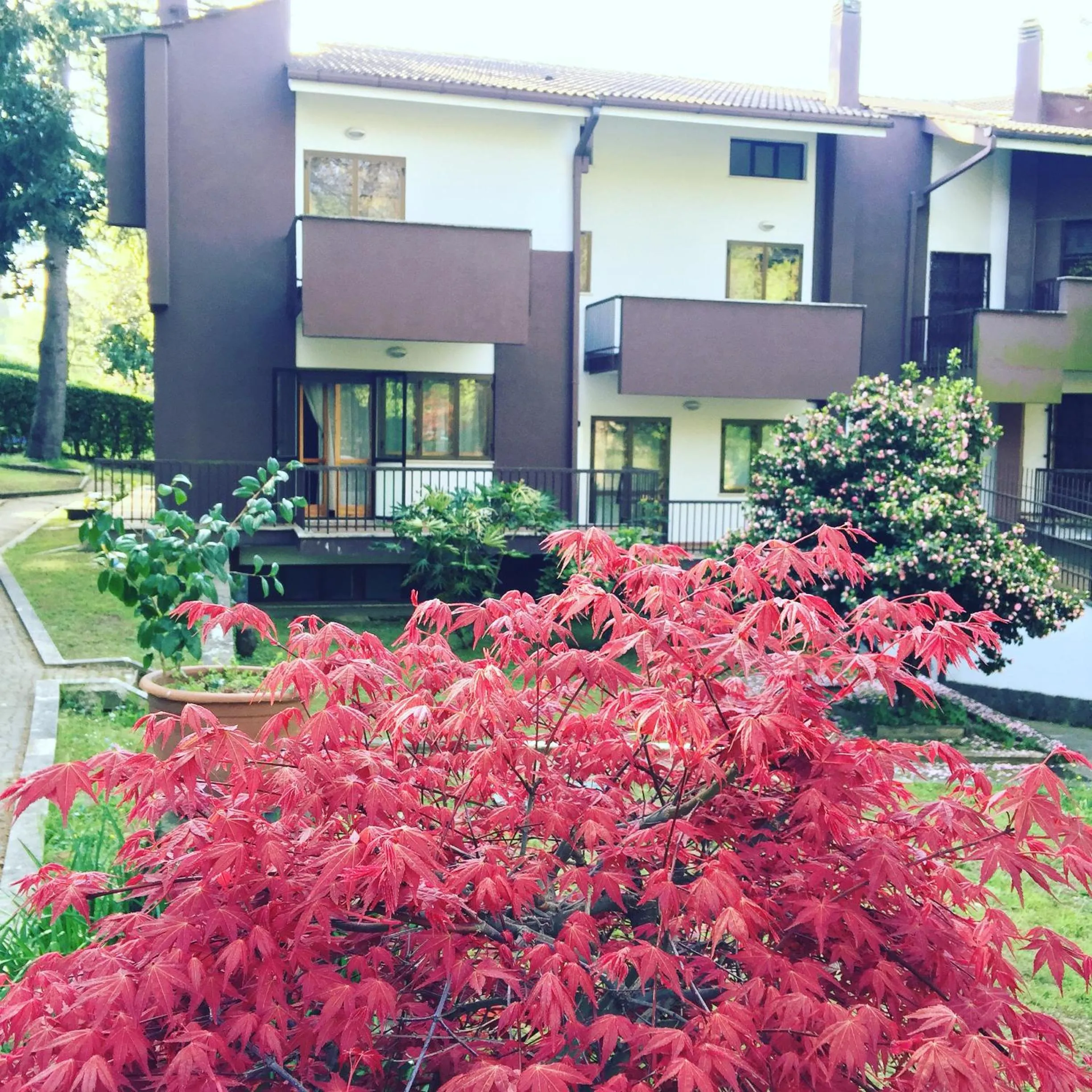 Property building in Maison 3g