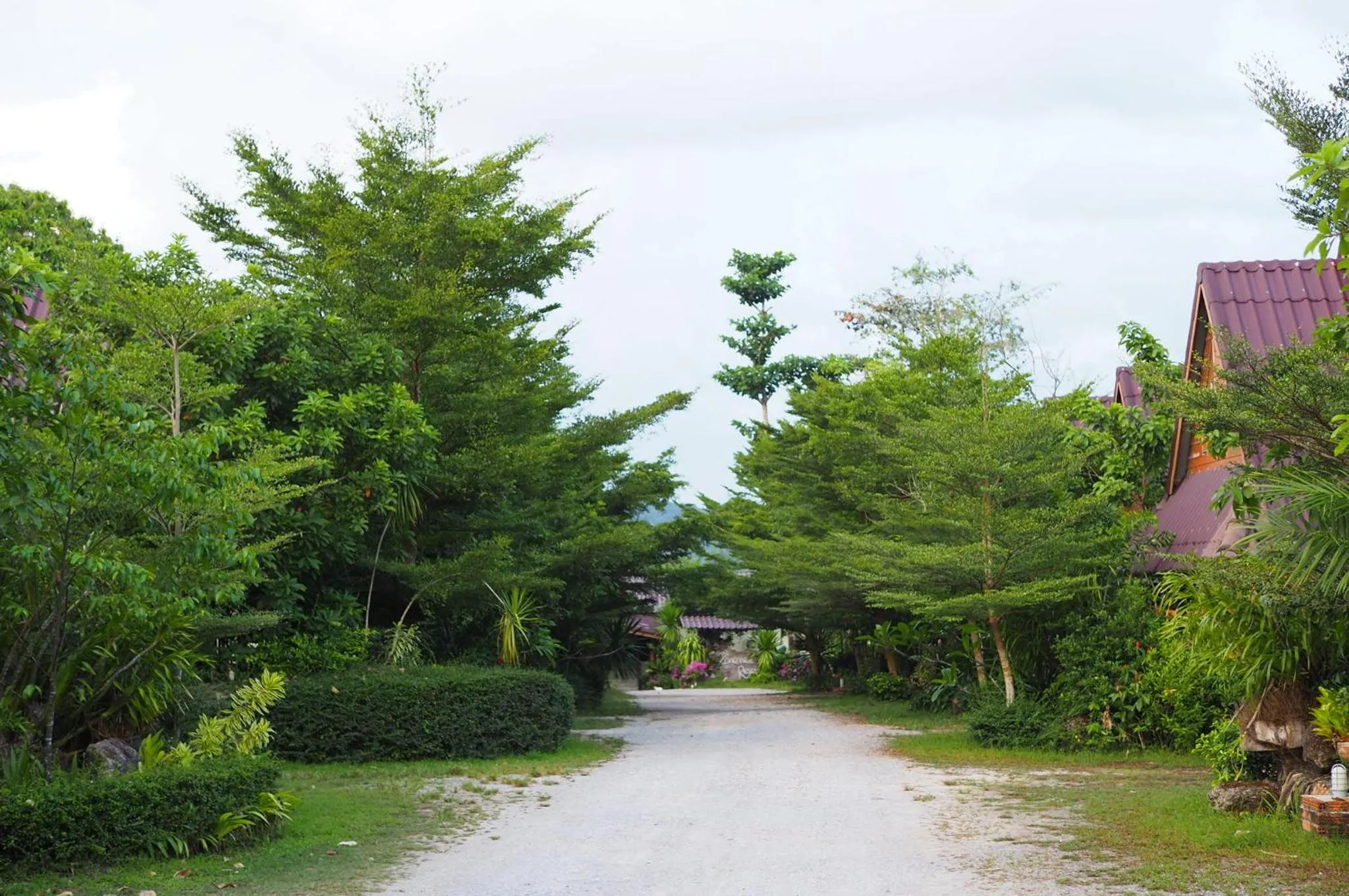Neighbourhood in Daranee Resort