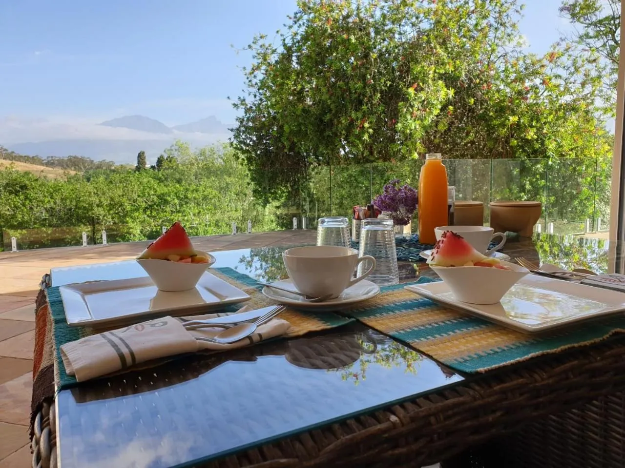 Garden in African Tulip Guesthouse