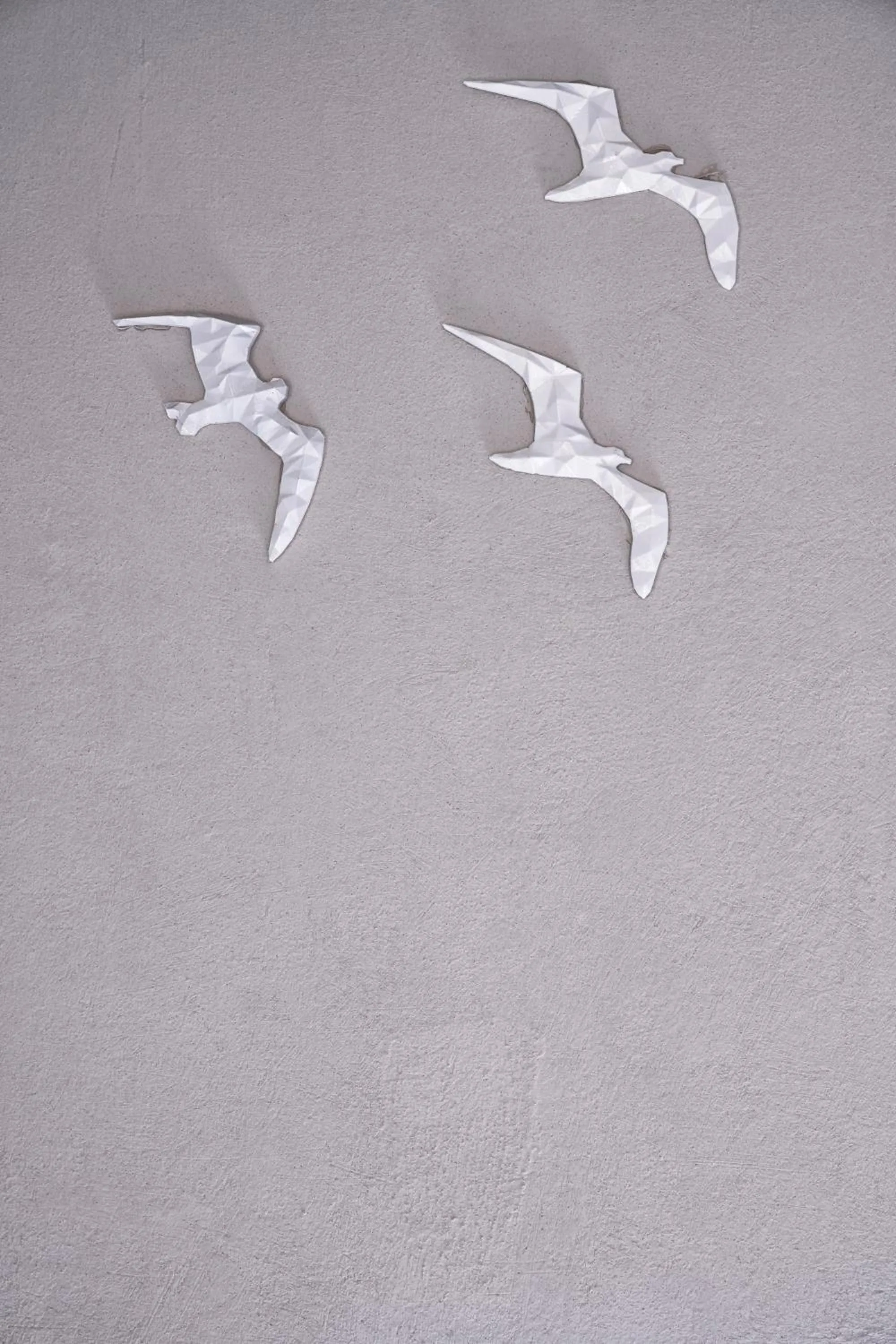 Other in Turtle's Inn Hotel