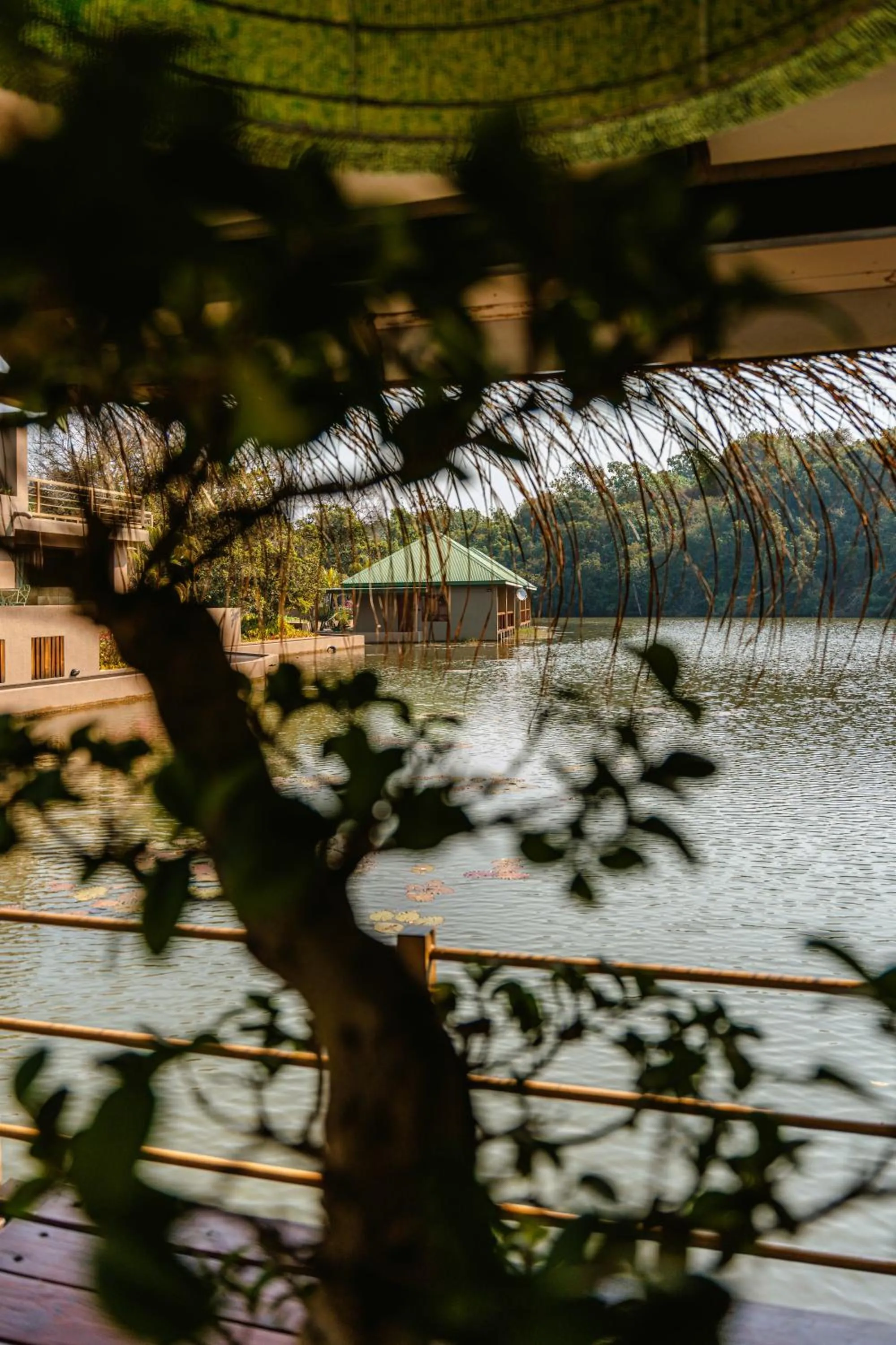 Lake view in Bambuu Lakeside Lodge