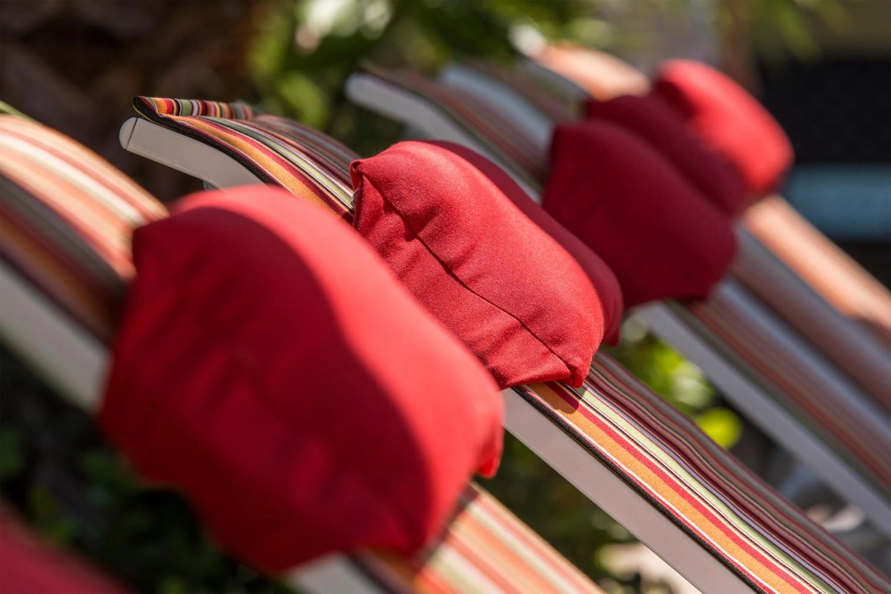 Day in Desert Riviera Hotel