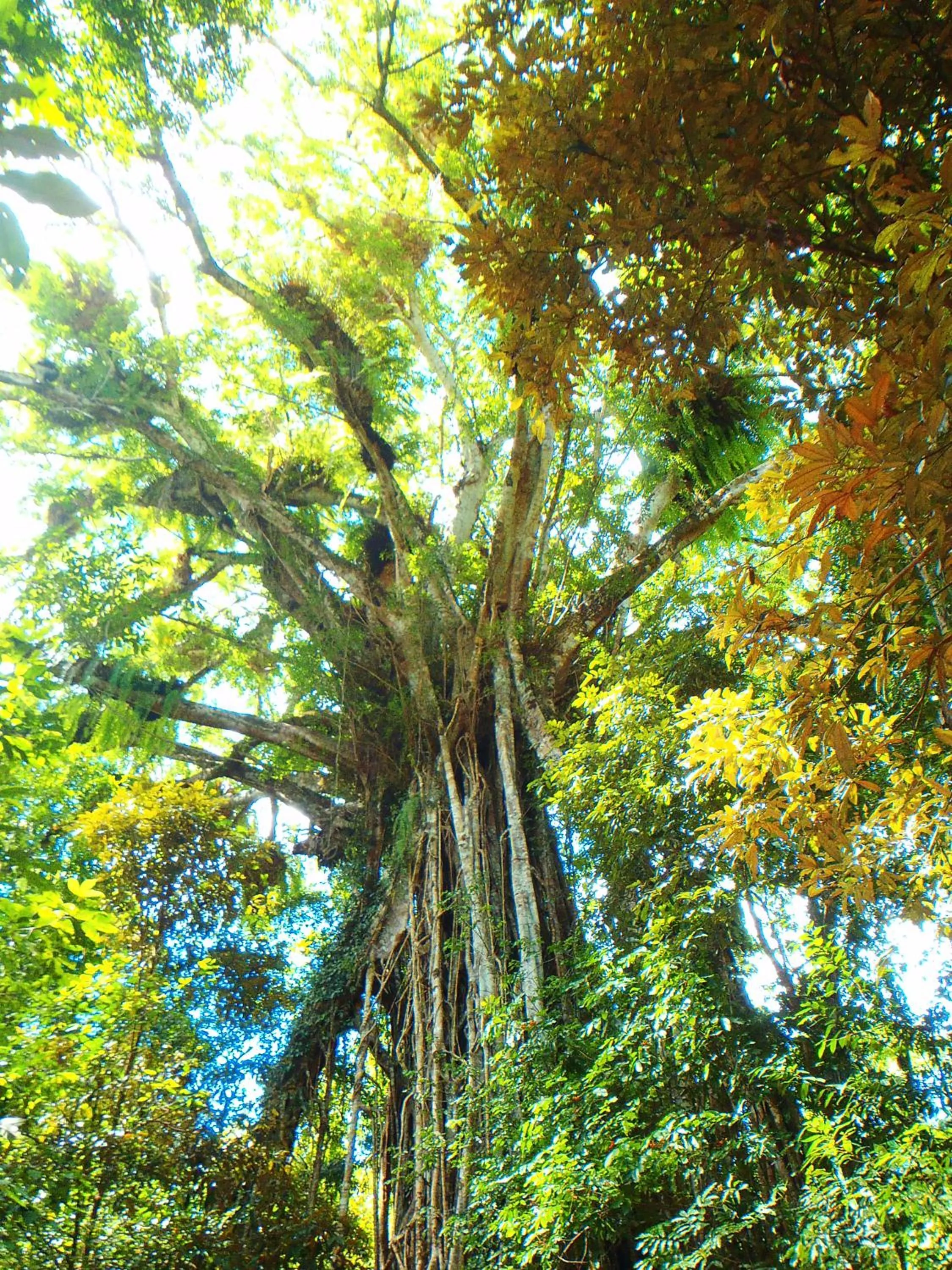 Nearby landmark in On The Wallaby Eco Lodge