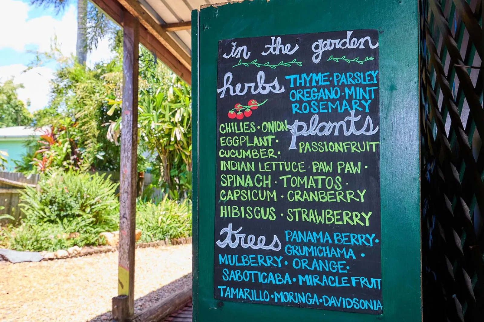 Garden in On The Wallaby Eco Lodge
