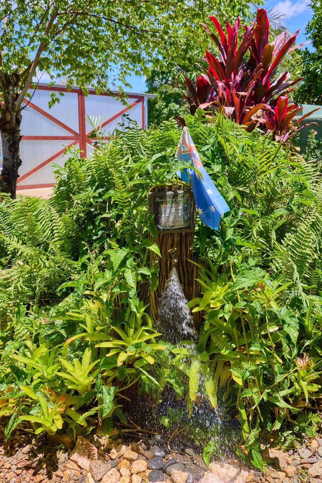 Garden in On The Wallaby Eco Lodge