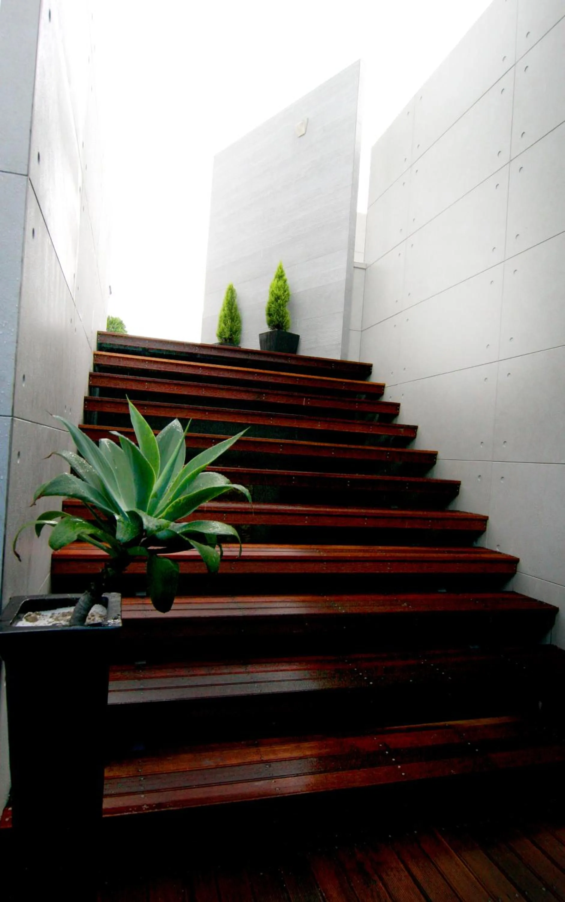 Day in Hotel Matthieu Yeosu