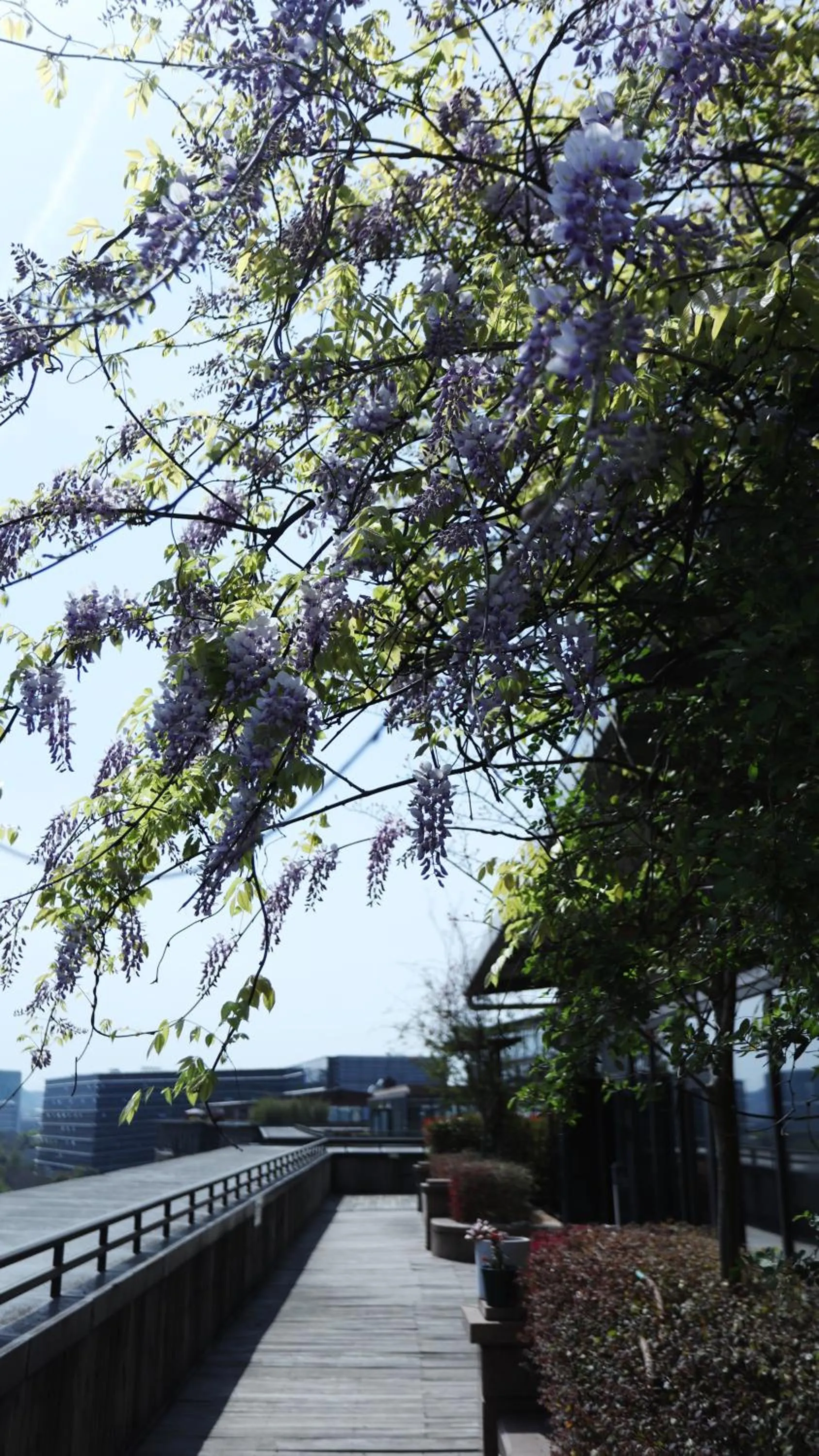 Day in The Nook Hotel Hangzhou - A design hotel, 20 mins to West Lake and Lingyin Temple