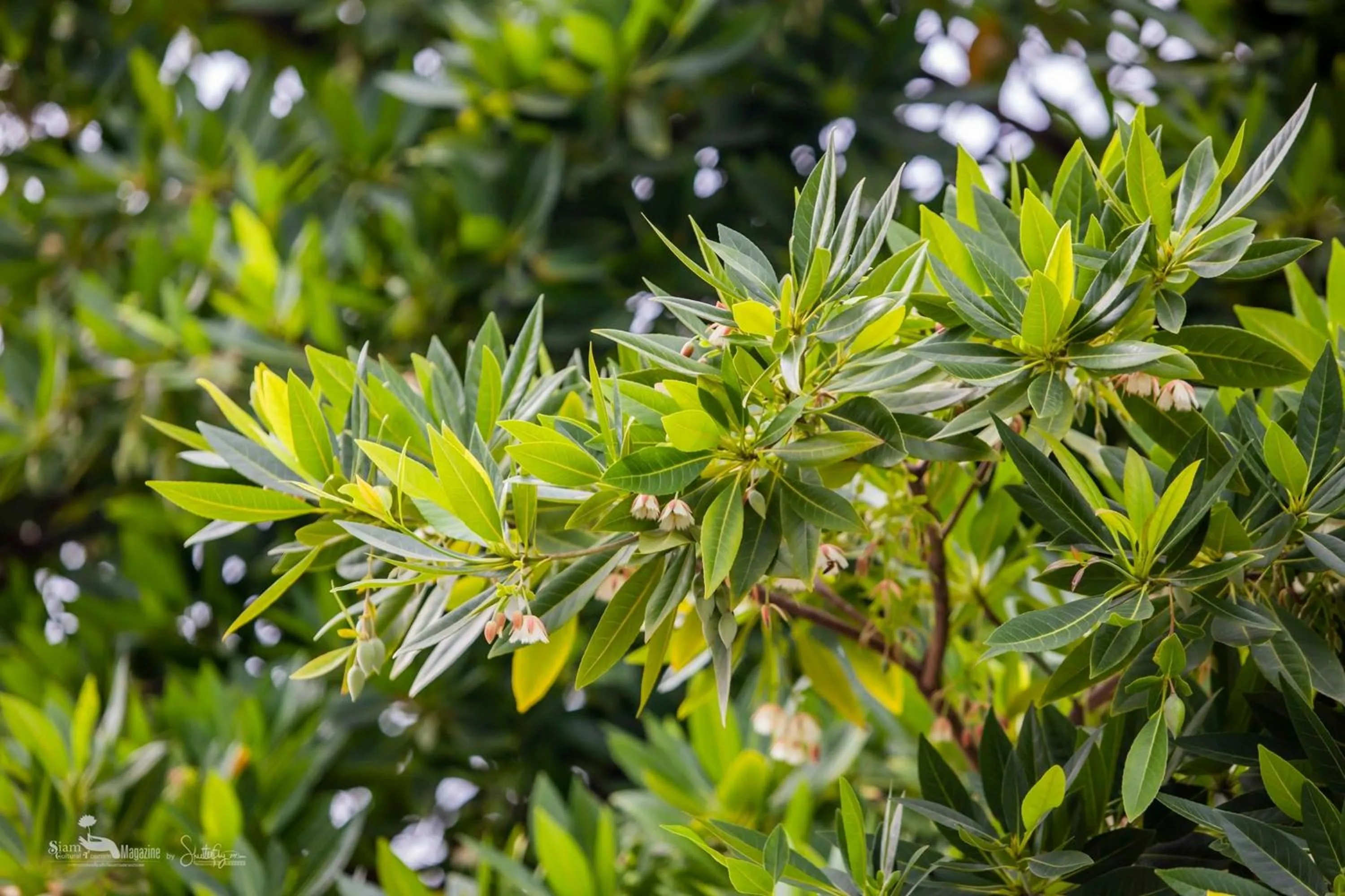 Property building in Nano Place Hotel