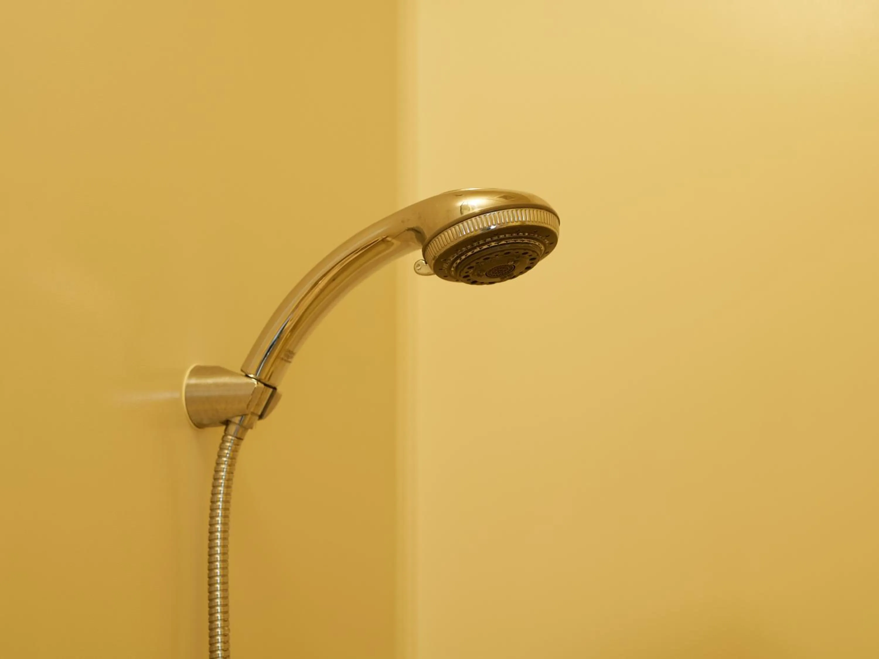 Bathroom in Asama Kogen Hotel