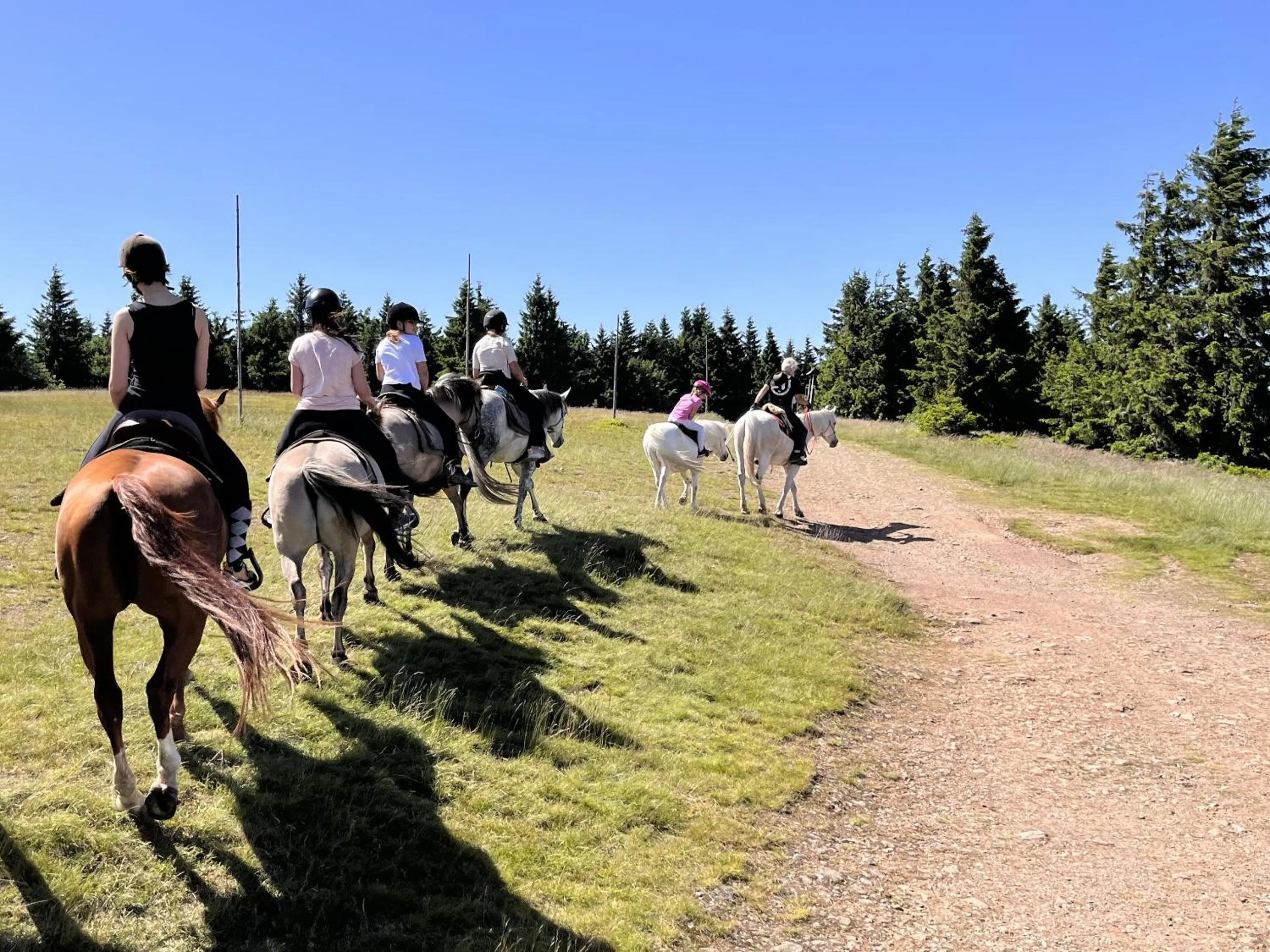 Horse-riding in Rancho Panderoza