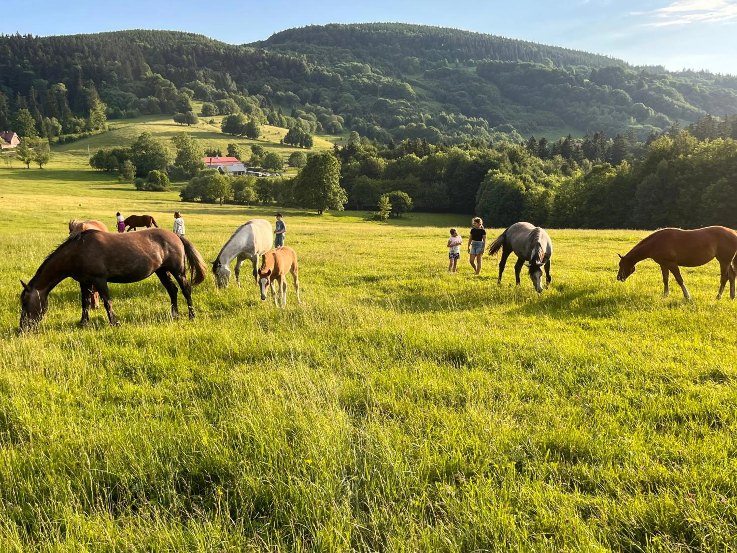 Horse-riding in Rancho Panderoza
