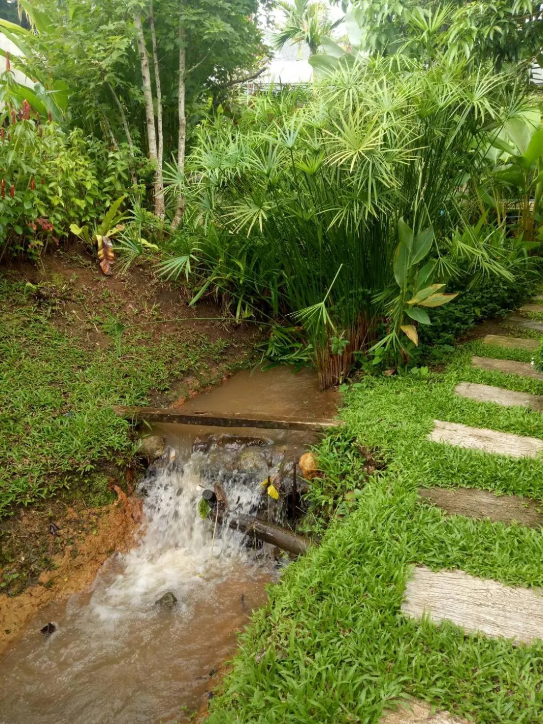 Garden in Buraphat Resort