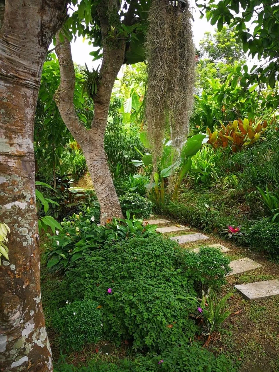 Garden view in Buraphat Resort