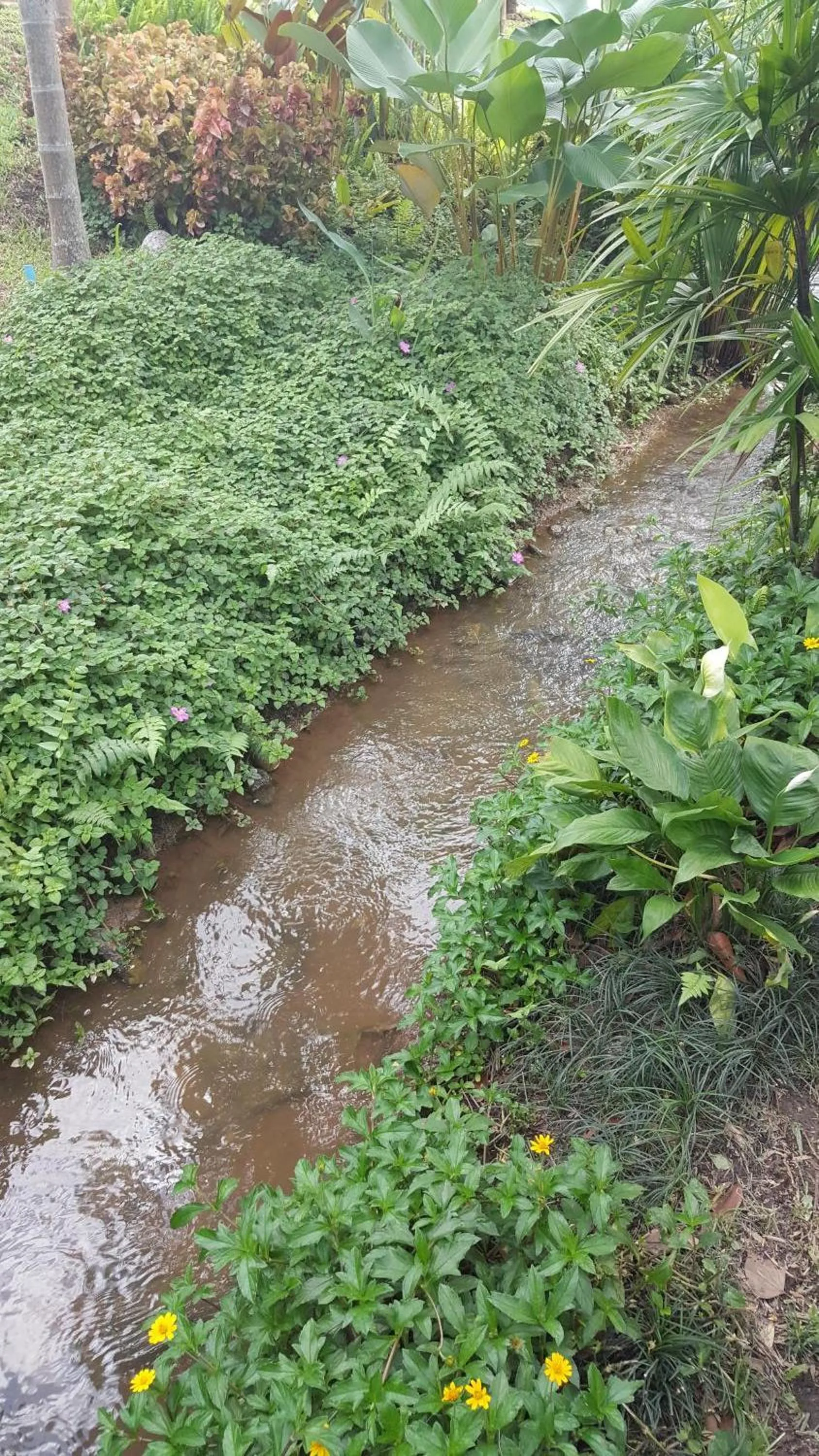 Garden in Buraphat Resort