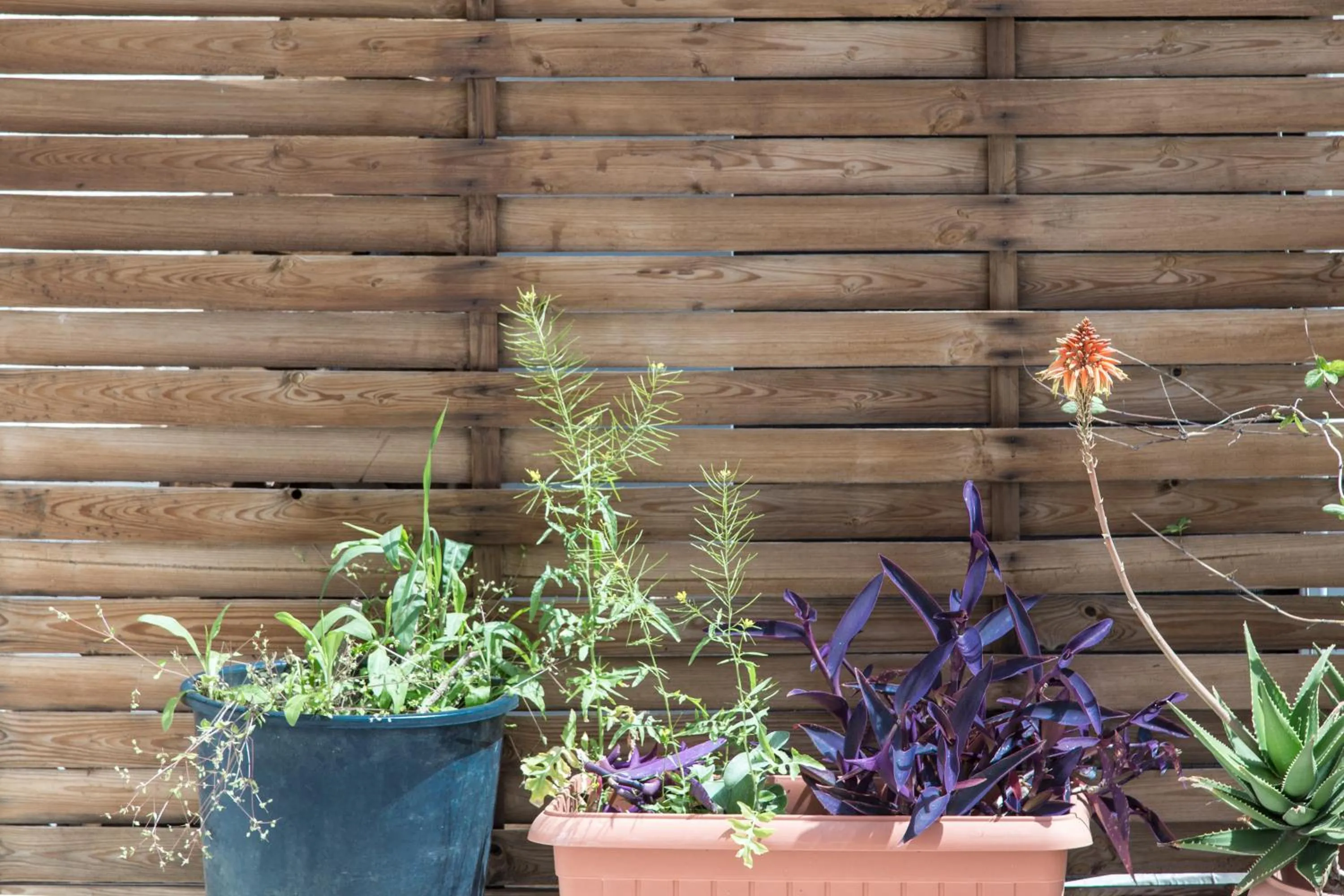 Balcony/Terrace in Concierge Monastiraki