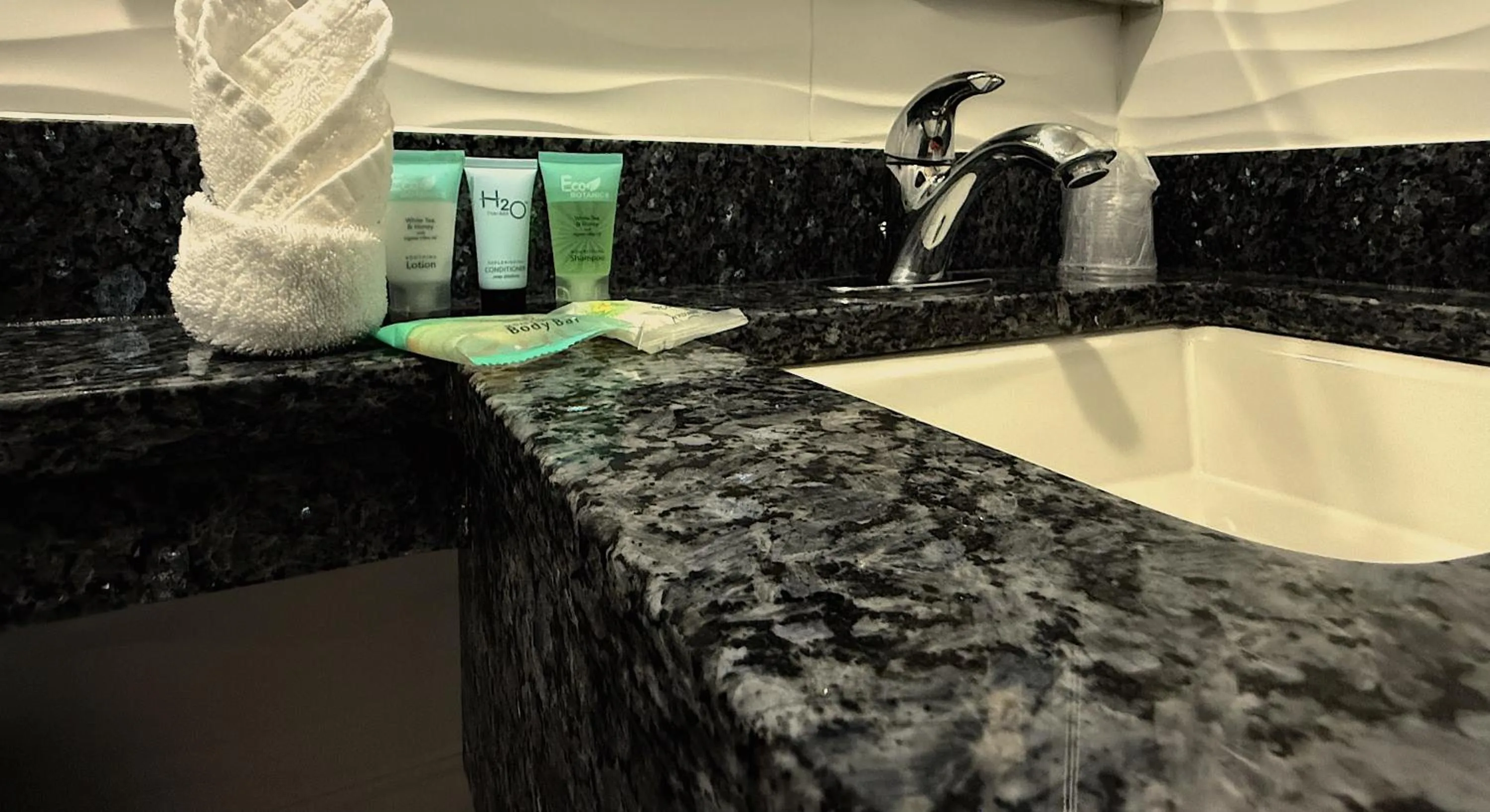 Bathroom in Umbrella Hotel Bronx