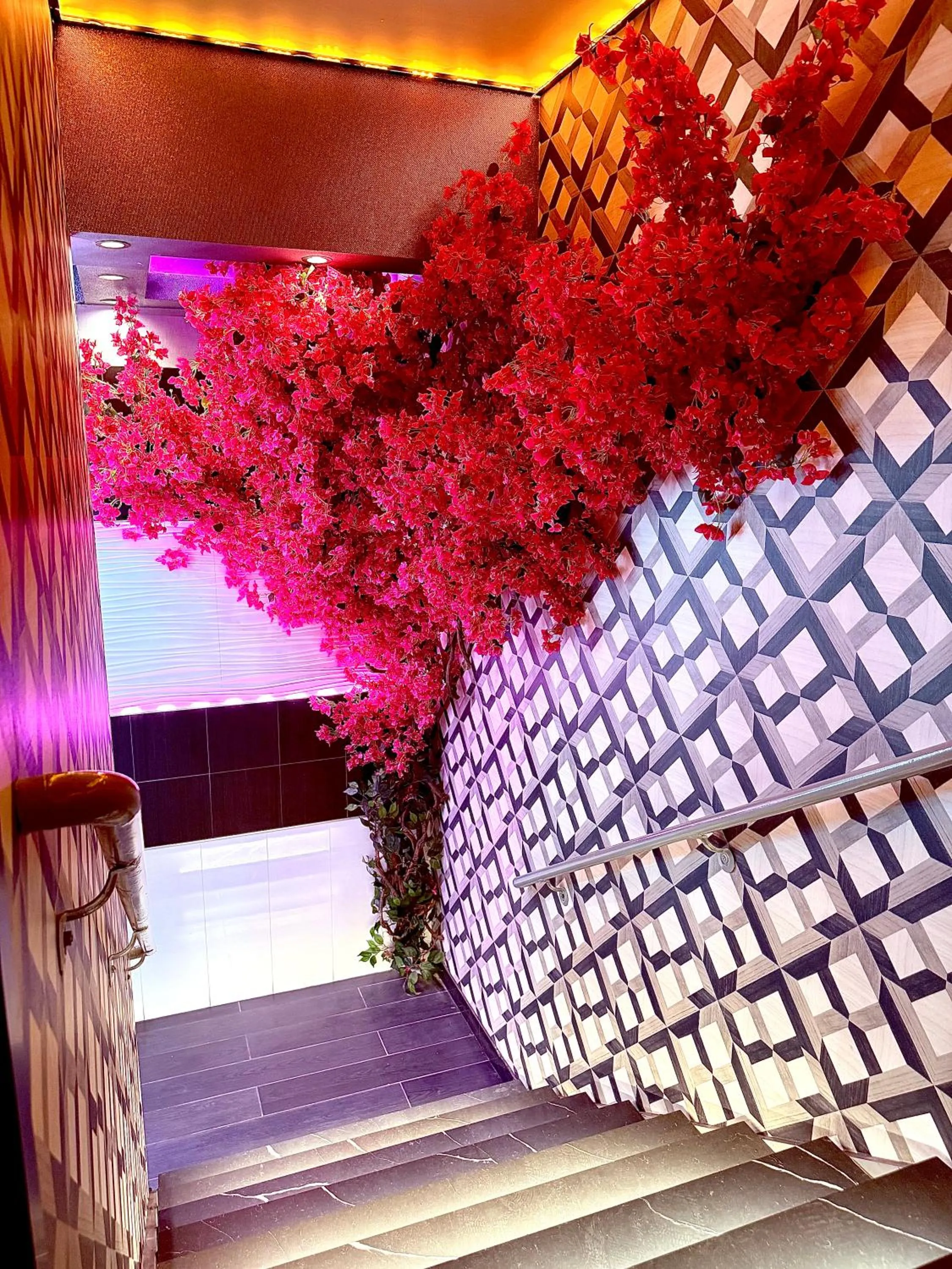 Facade/entrance in Umbrella Hotel Bronx