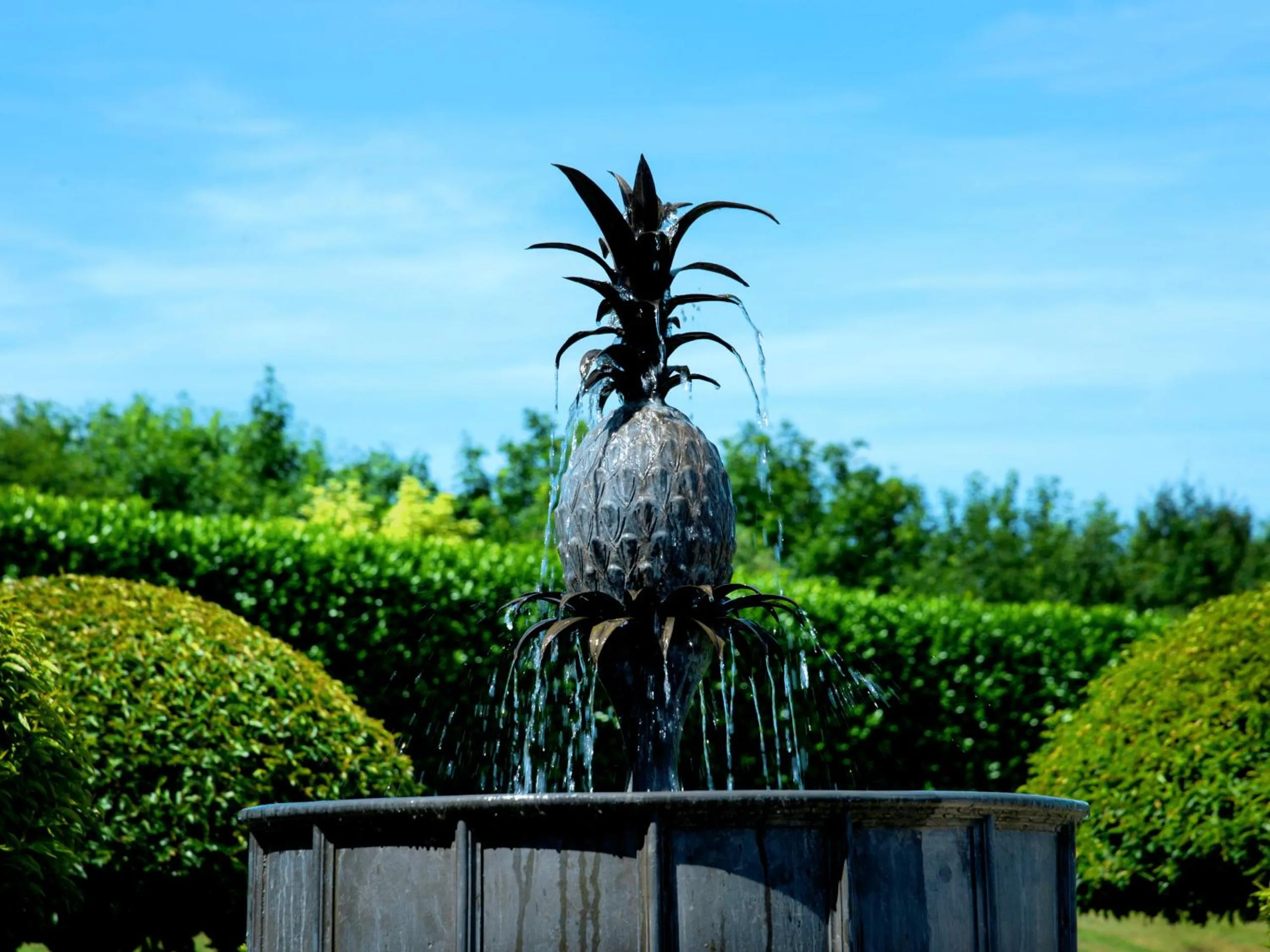 Other in The Old Hall Ely