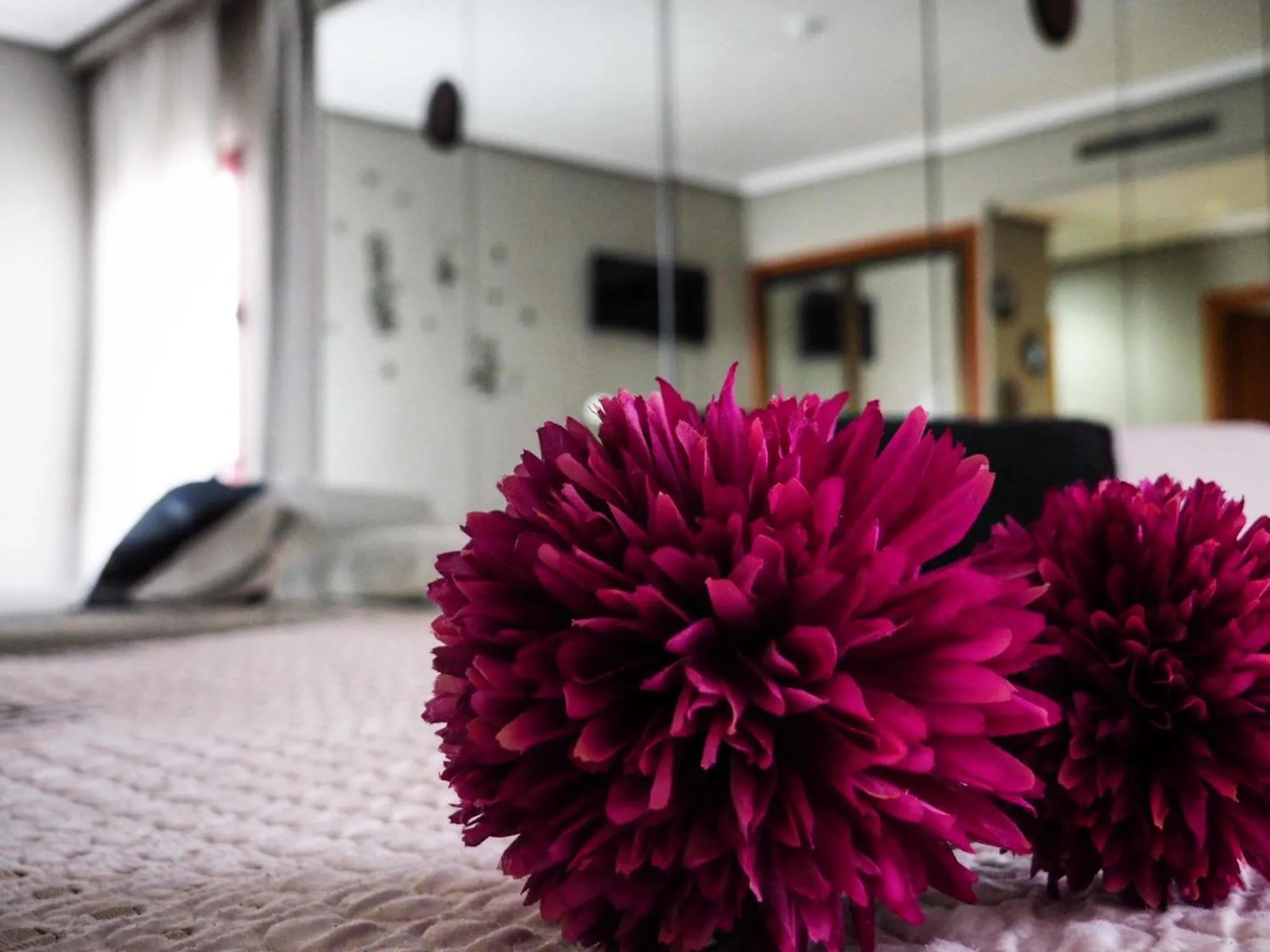 Photo of the whole room in Hotel Humanes