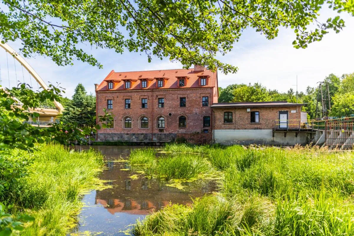 Natural landscape in Nostalgia Poganice
