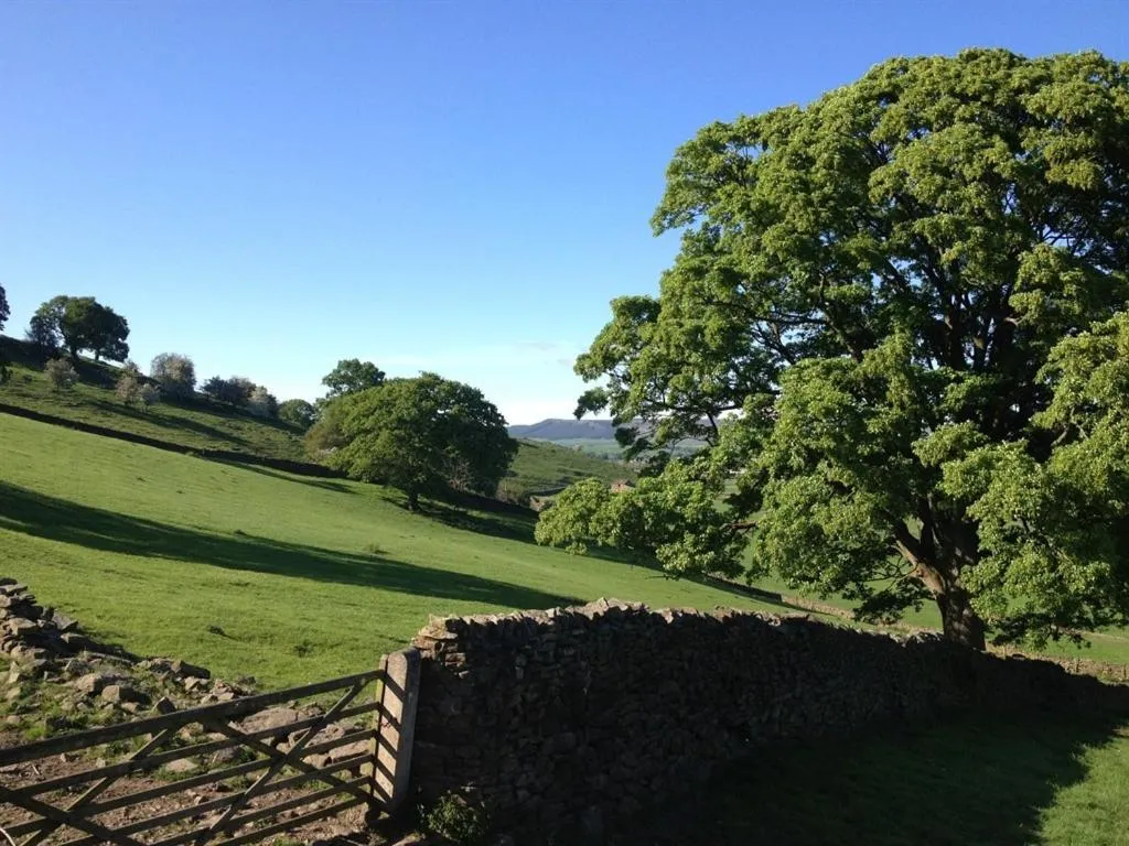 View (from property/room) in Throstle Nest Farm