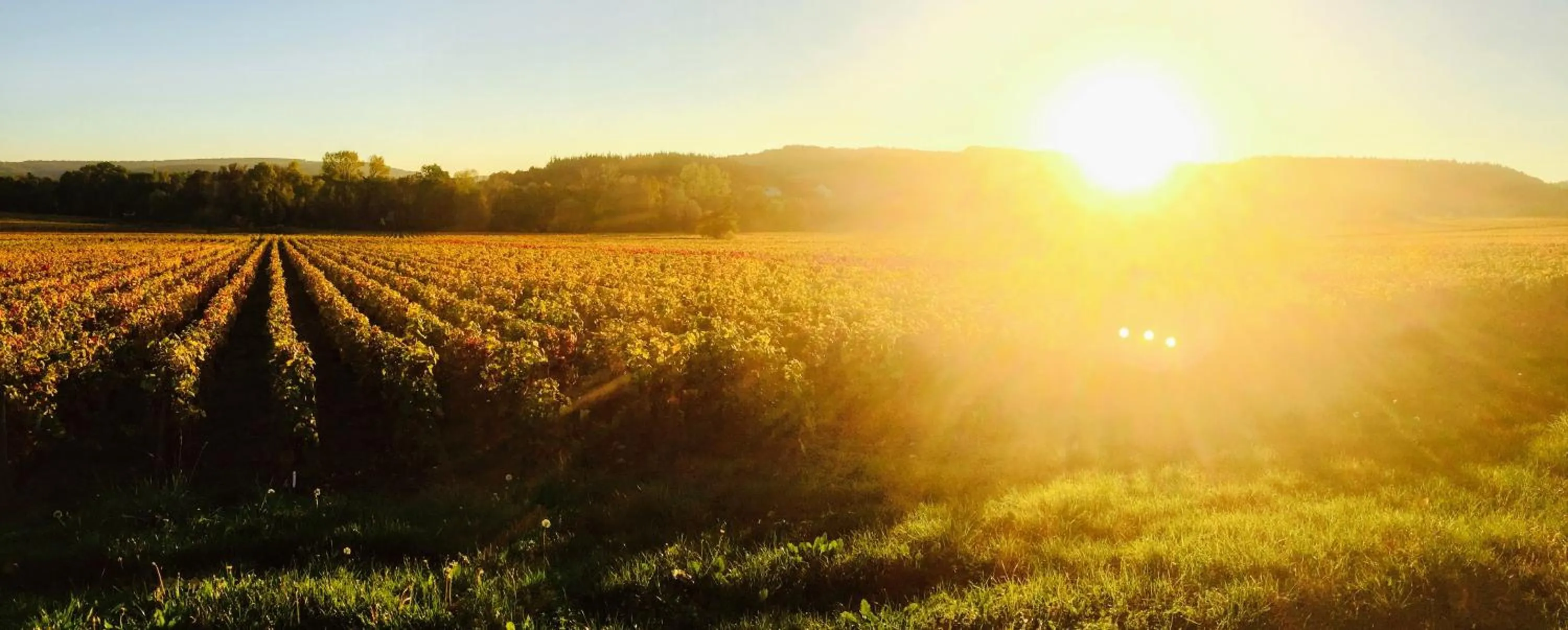 Off site in Domaine Pont Juillet