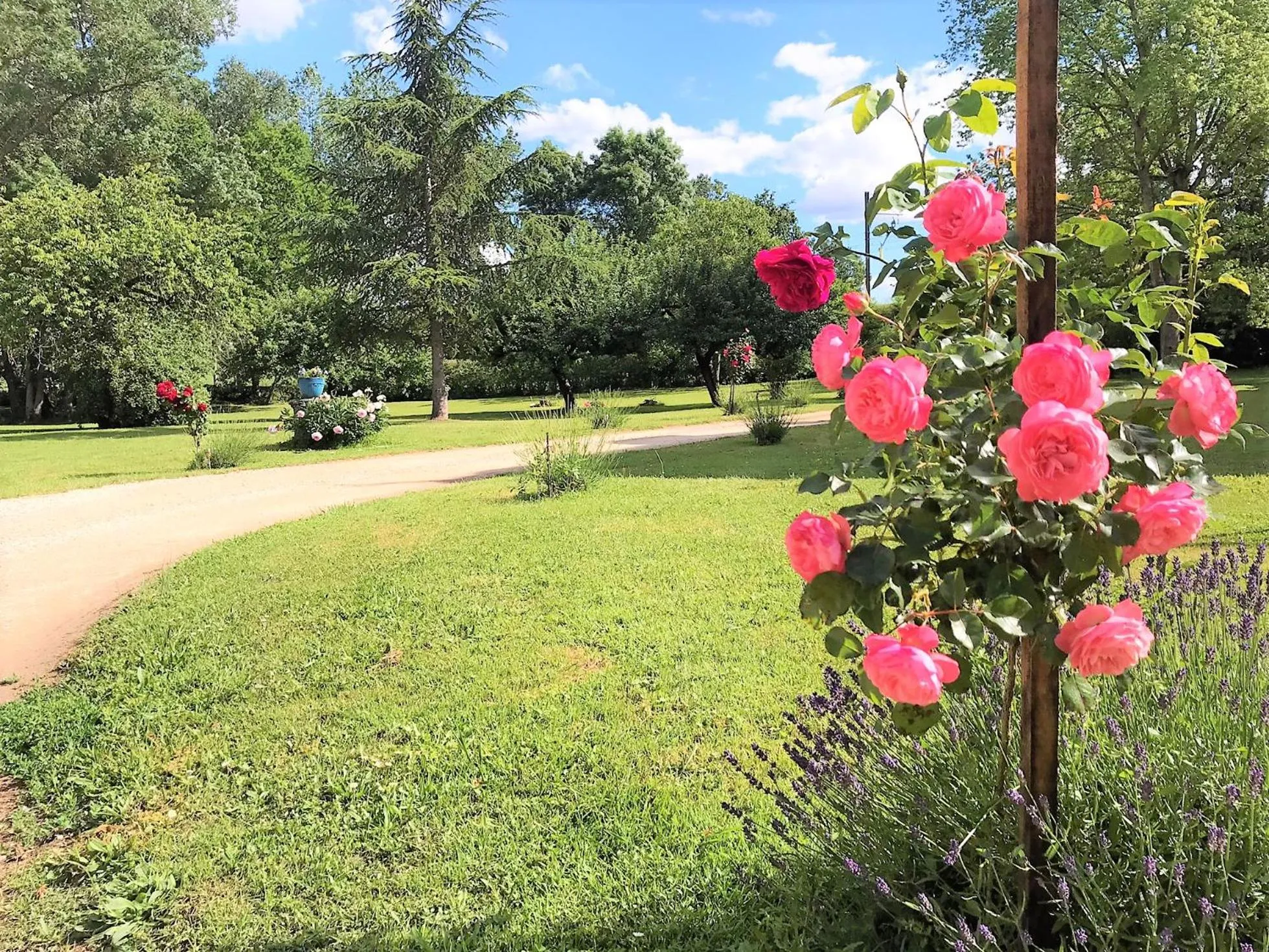 Spring in Domaine Pont Juillet