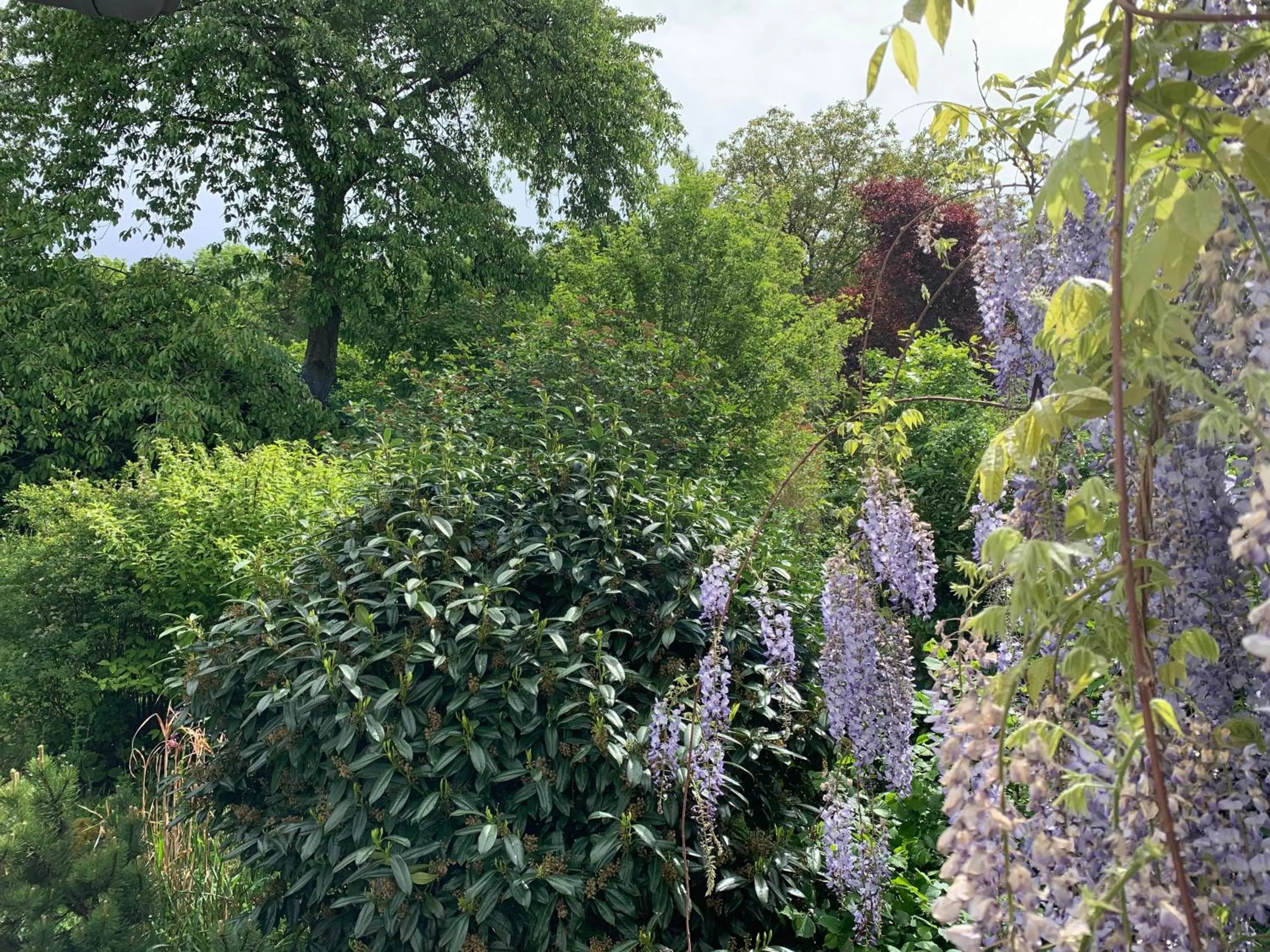 Garden in Hotel Vintage Am Bundesbank-Bunker