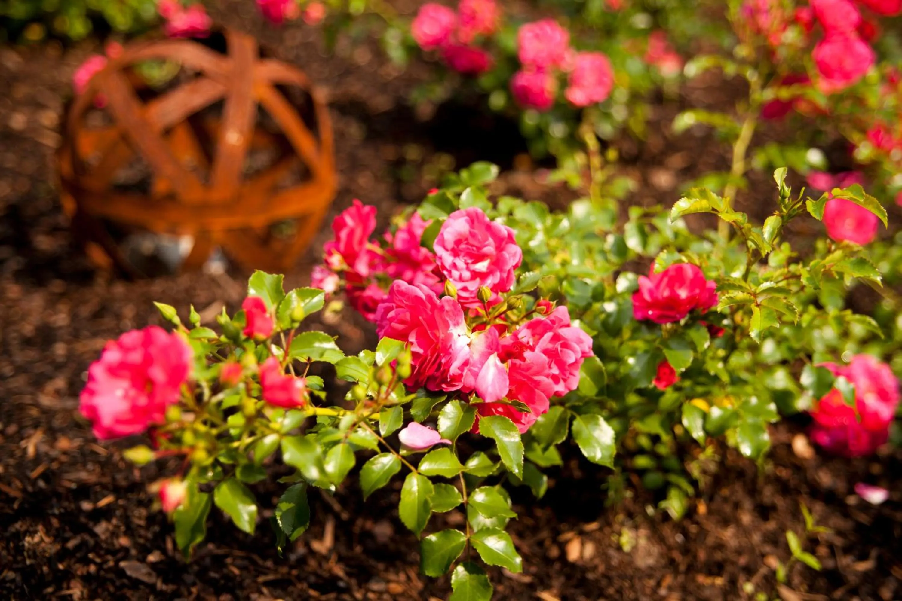 Garden in Hotel Vintage Am Bundesbank-Bunker